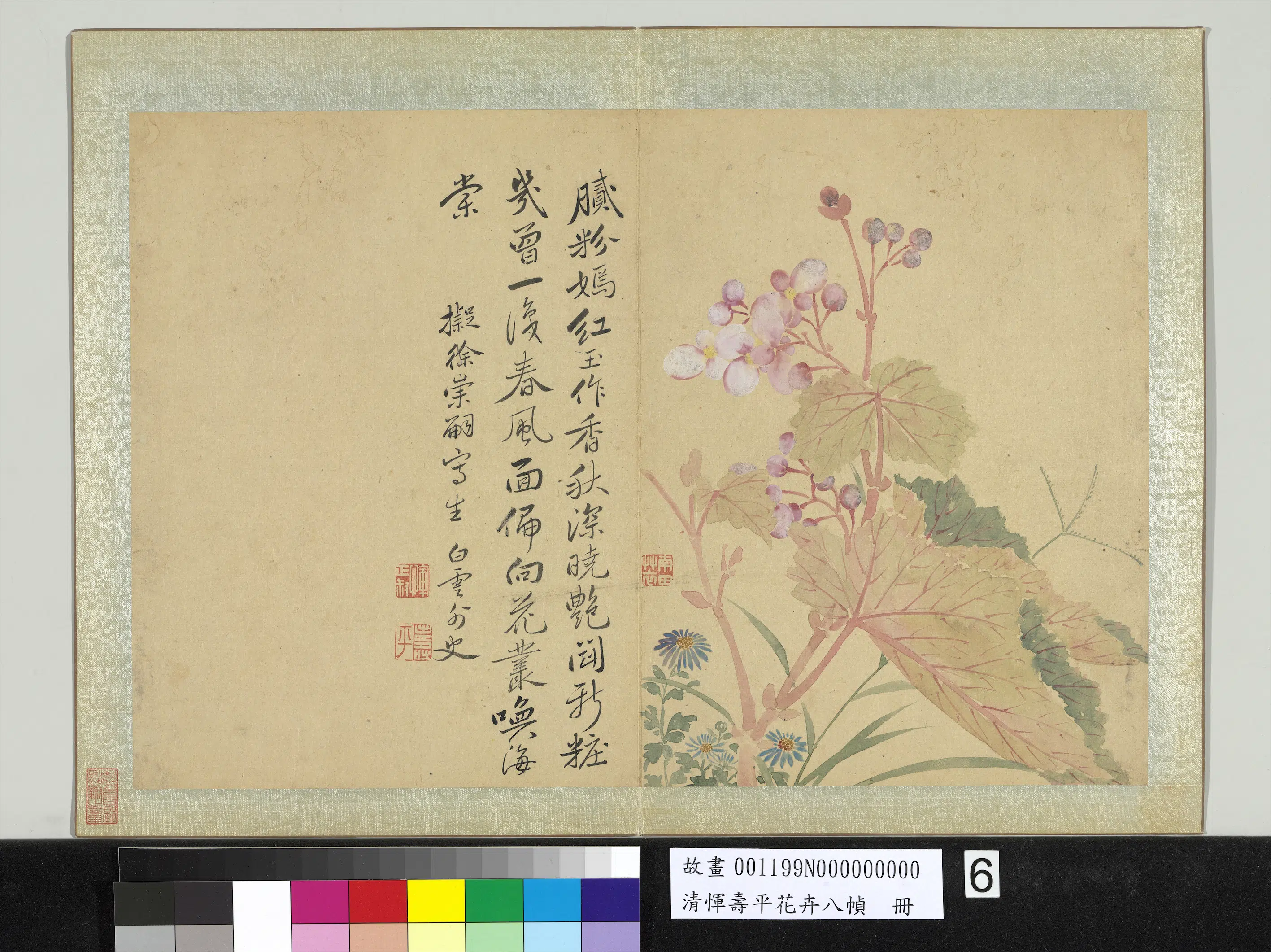 清代【恽寿平】《花卉八帧册-拟徐崇嗣写生》