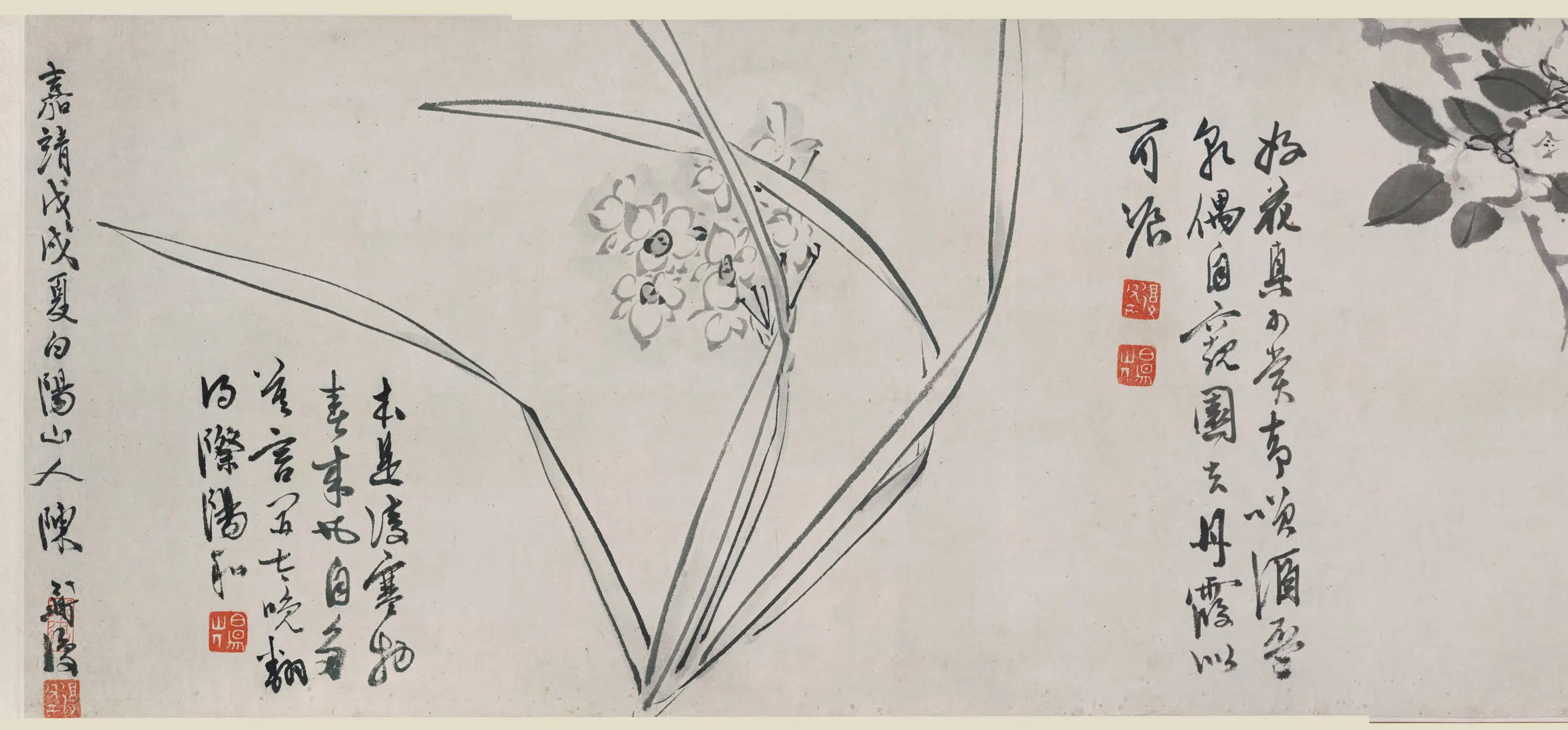 明朝【陈淳（道复）】《花卉卷》