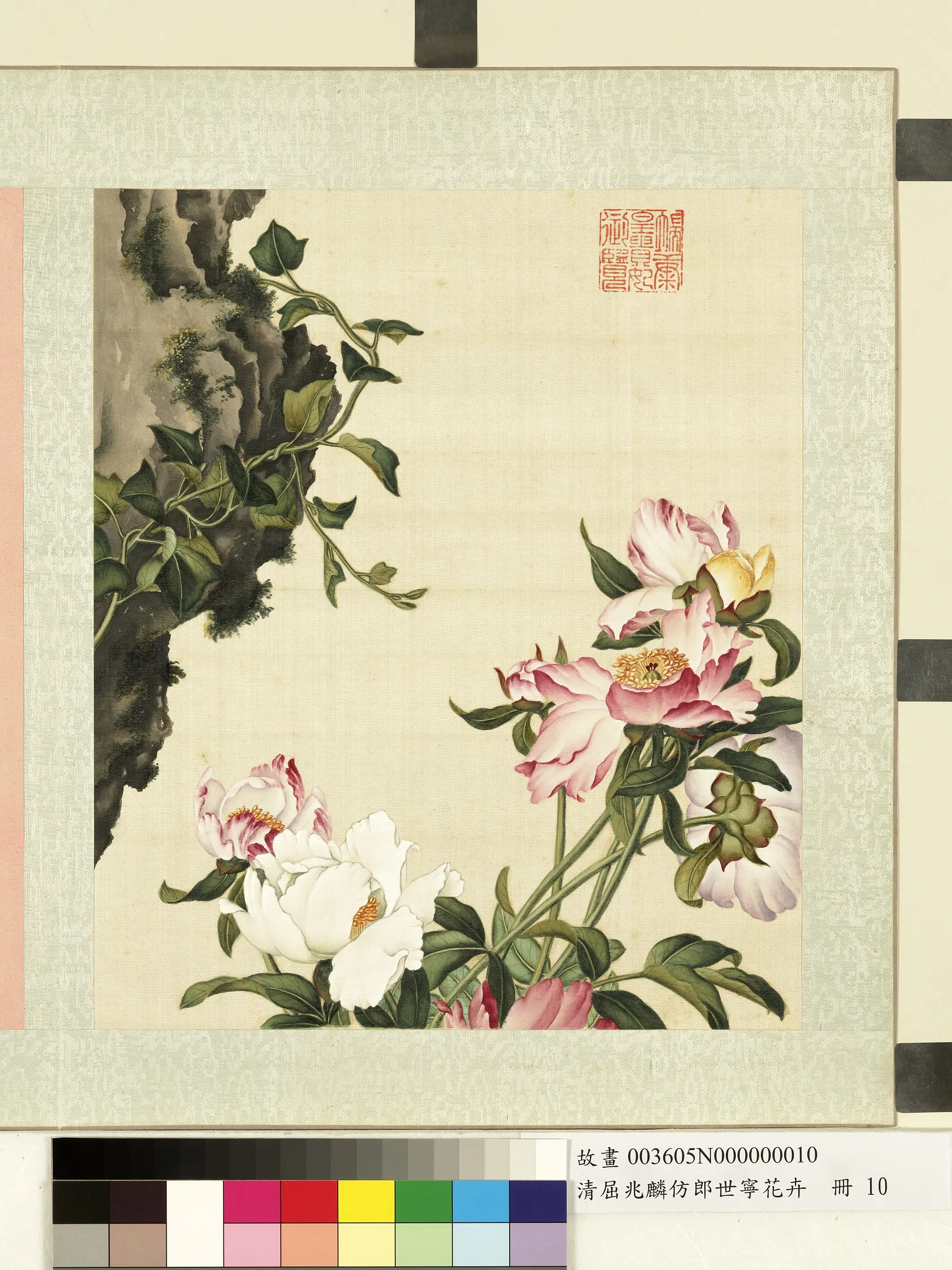 清代【屈兆麟】《仿郎世宁花卉册》 第10张 清代【屈兆麟】《仿郎世宁花卉册》 第10张