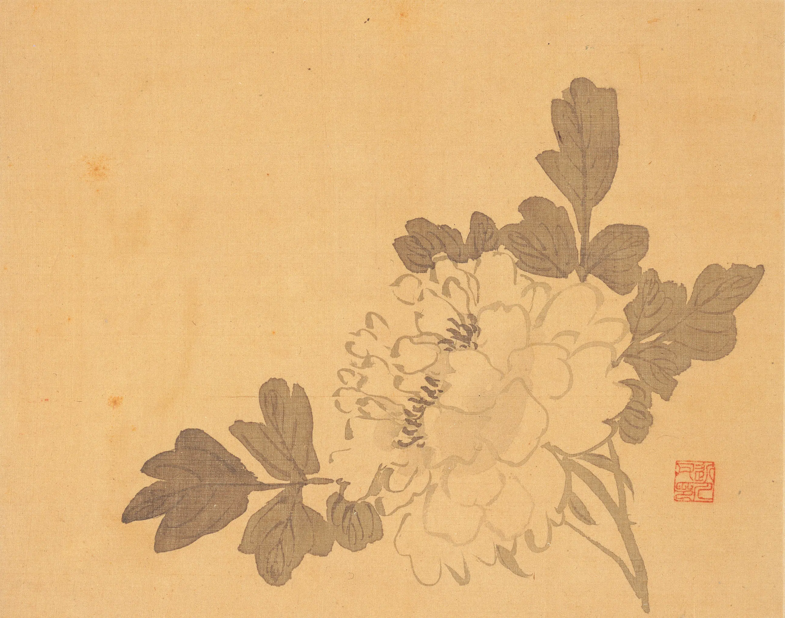 清代【汪士慎】《花卉册》 第14张 清代【汪士慎】《花卉册》 第14张