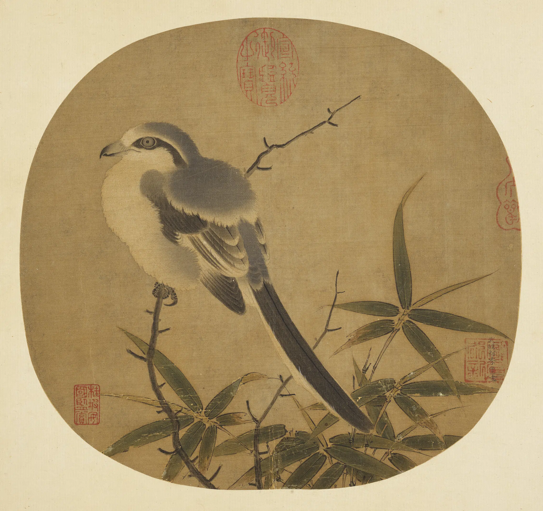 南宋【李安忠】《竹鸠-图纨扇画册》