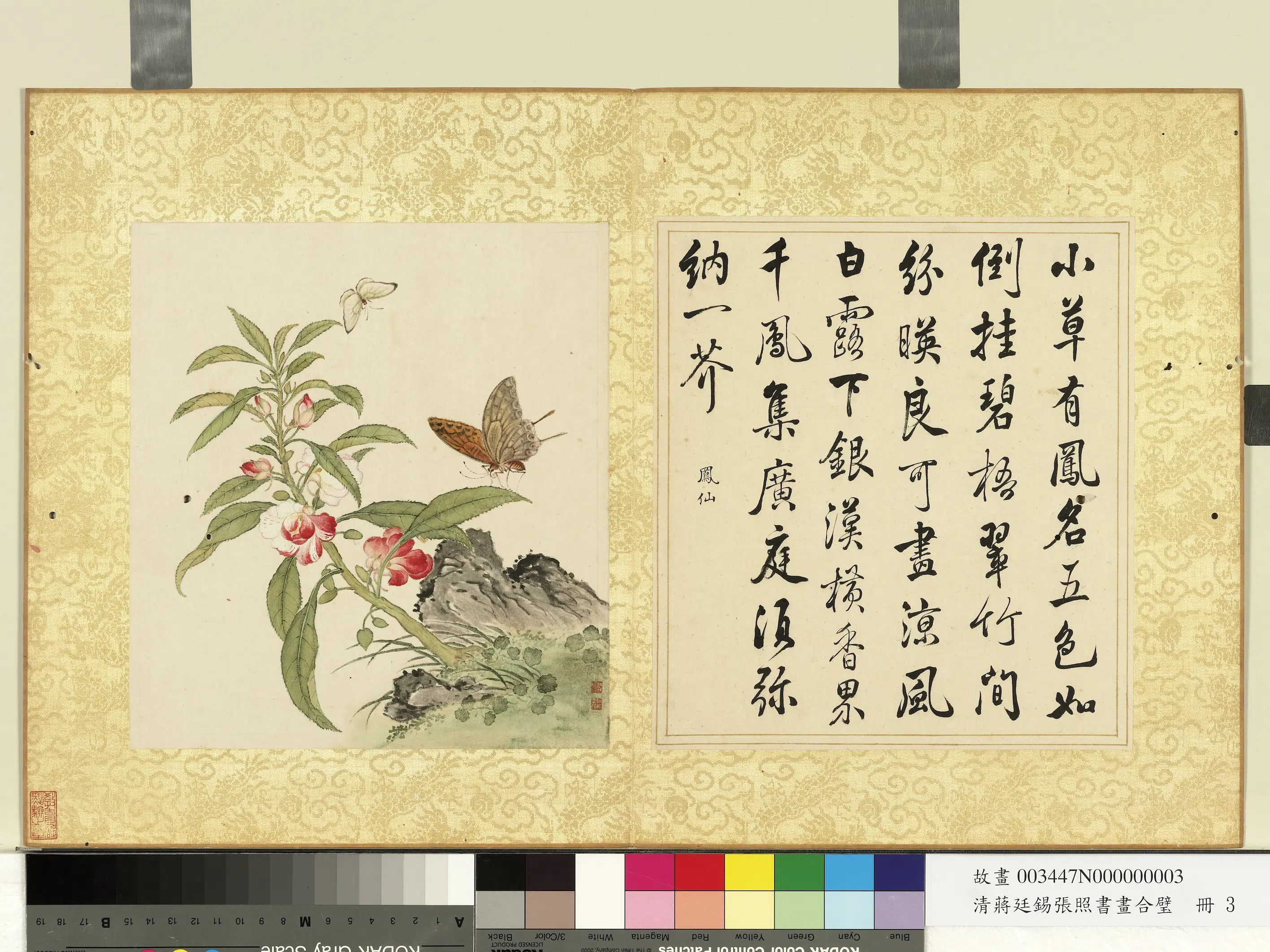 清代【张照蒋廷锡】《蒋廷锡张照书画合璧册》