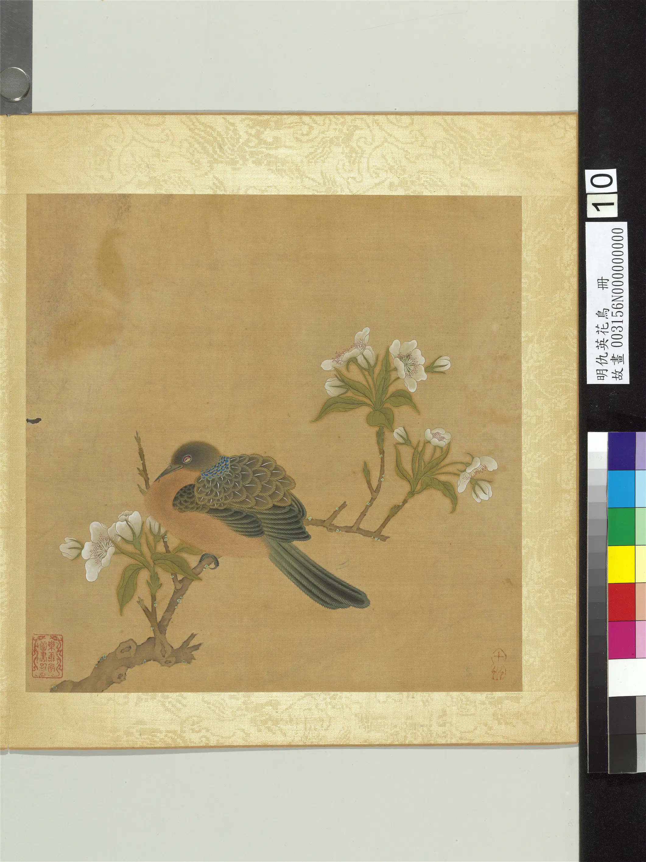 明朝【仇英】《花鸟册（12开）》 第5张
