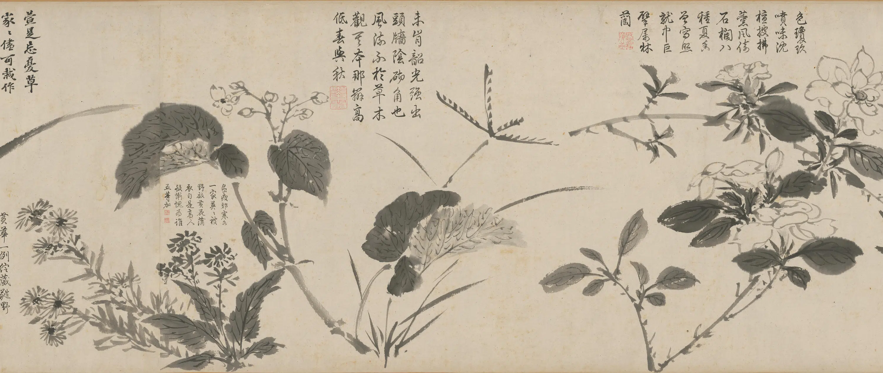 明朝【周之冕】《百花图卷》 第20张 明朝【周之冕】《百花图卷》 第20张