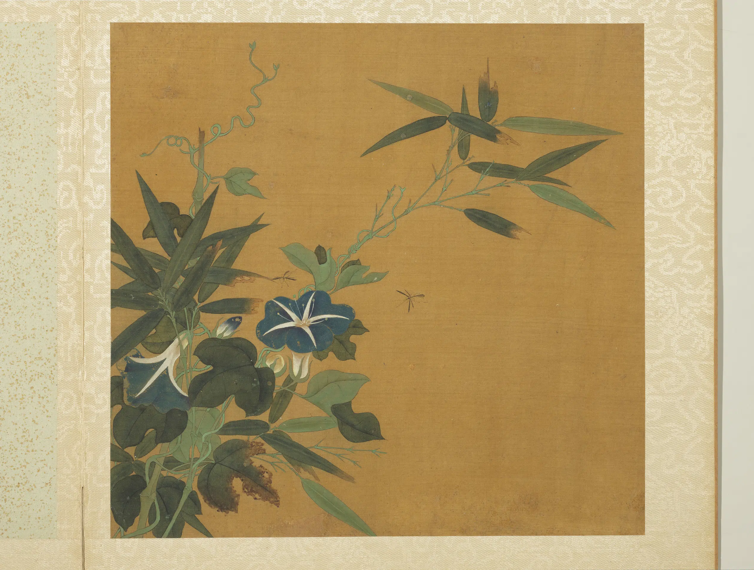 五代十国前后蜀【黄筌（荃）】《长春花鸟册-牵牛花》