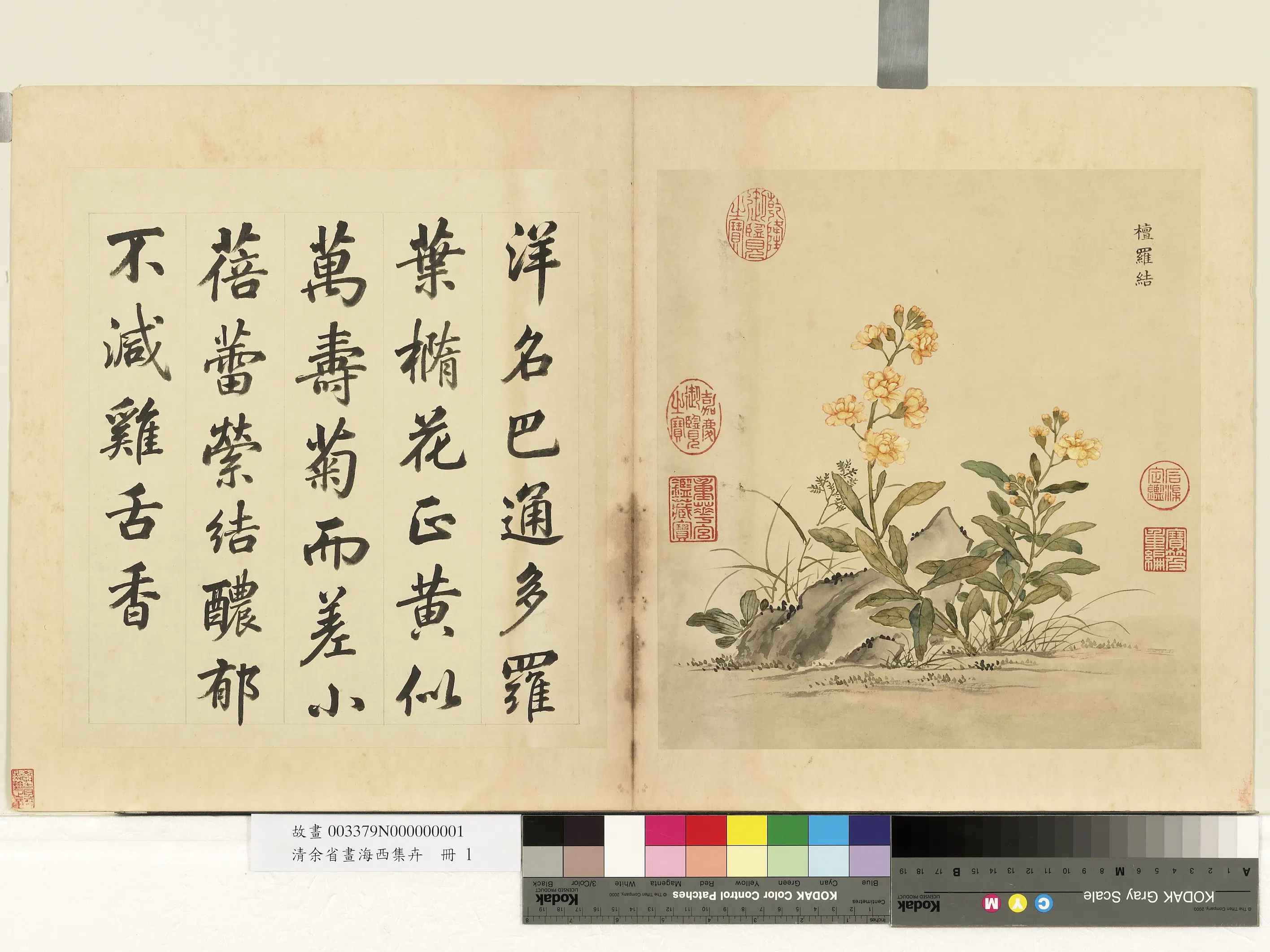 清代【余省】《画海西集卉册-檀罗结》