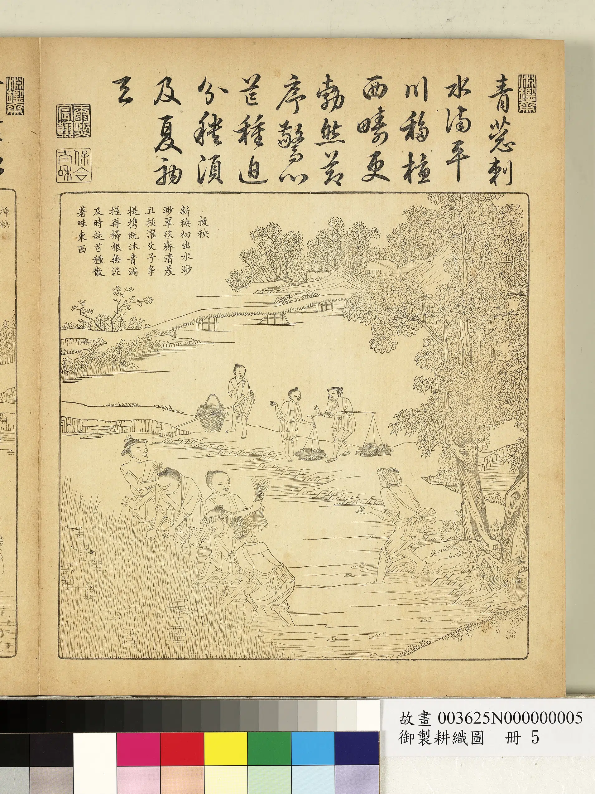 清代【焦秉贞】《御制耕织图册-拔秧（朱圭镌刻）》