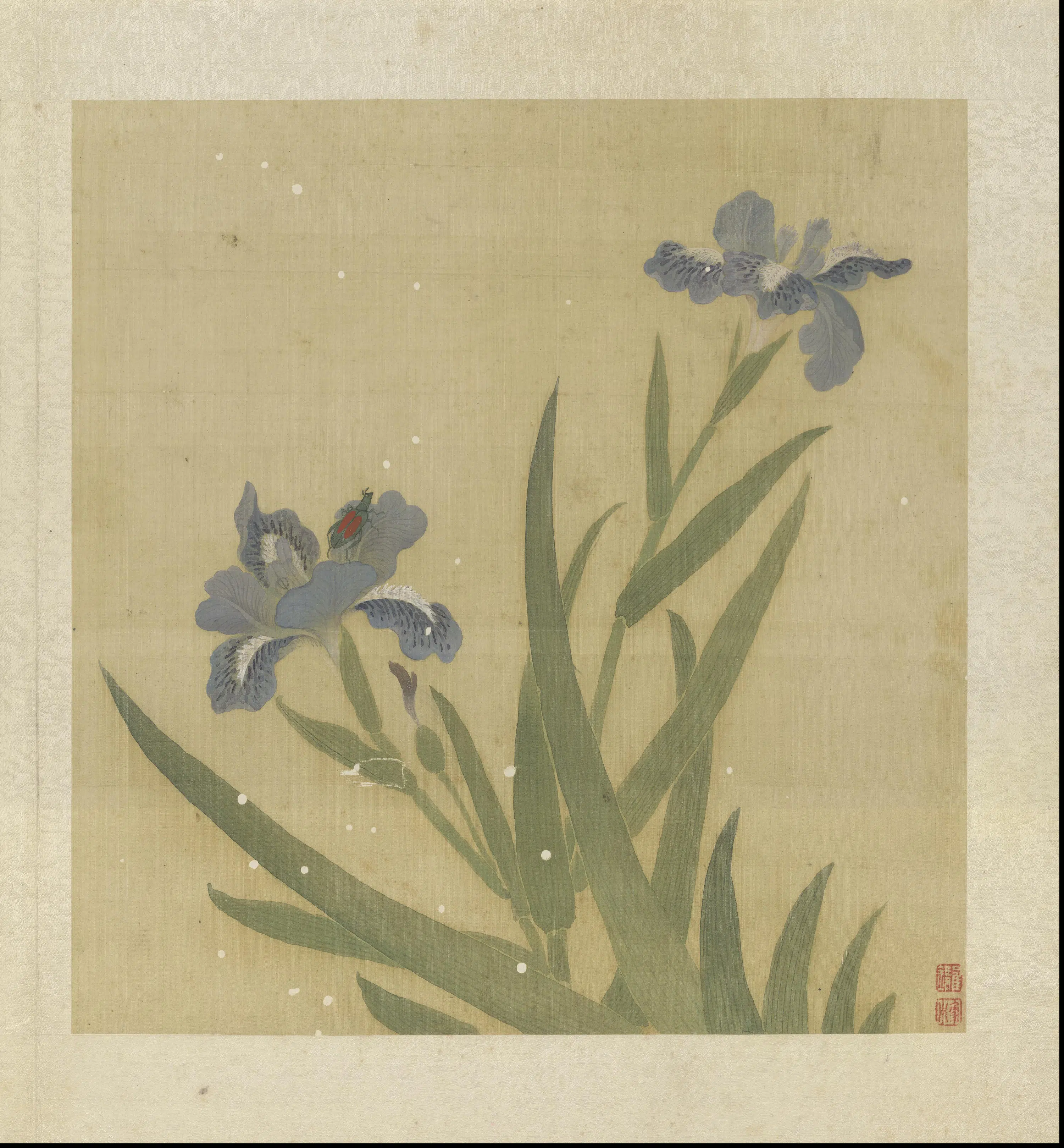 清代【崔鏏】《花卉草虫图册》 第18张