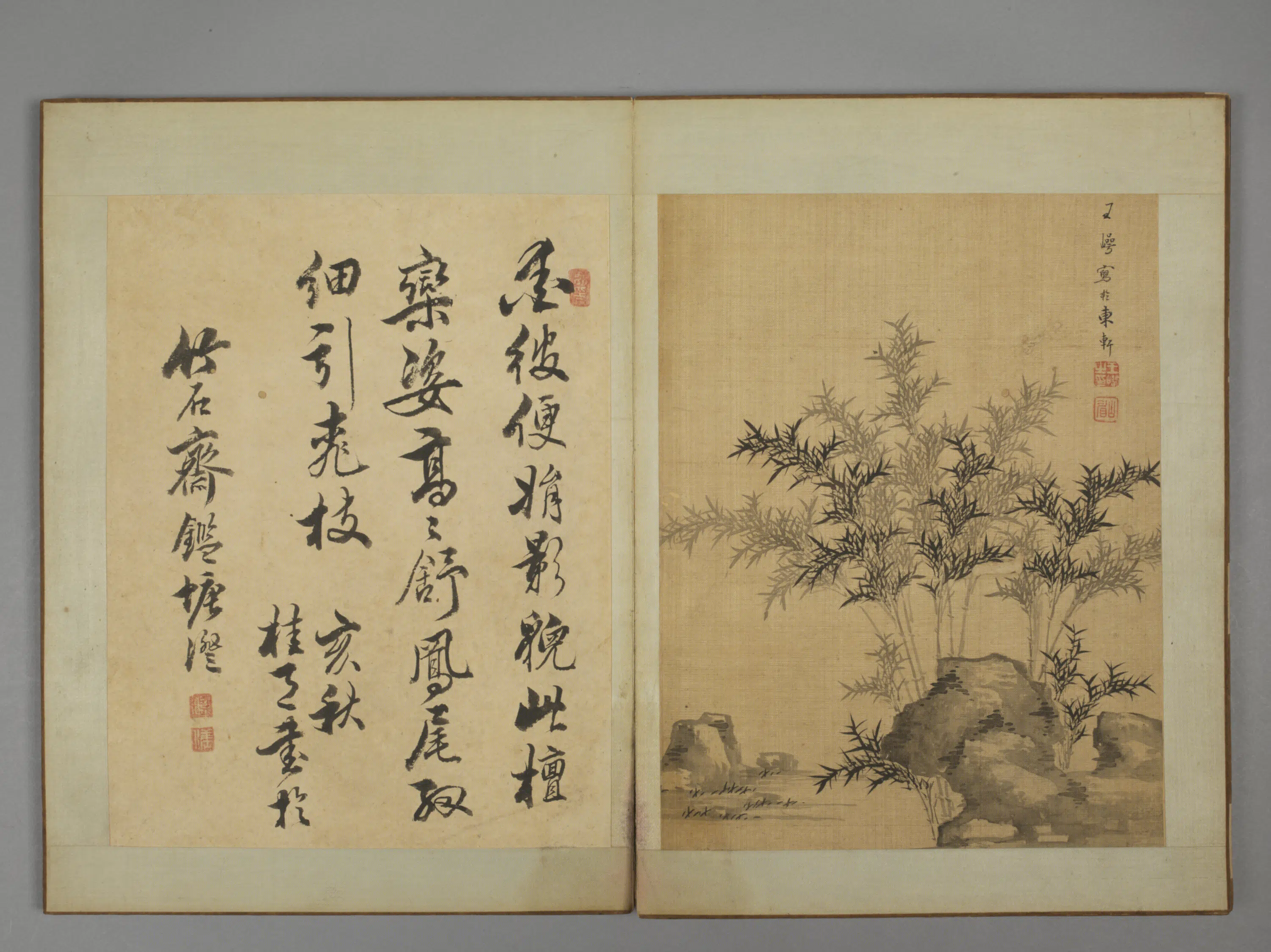 清代【王崿】《竹石册》 第5张
