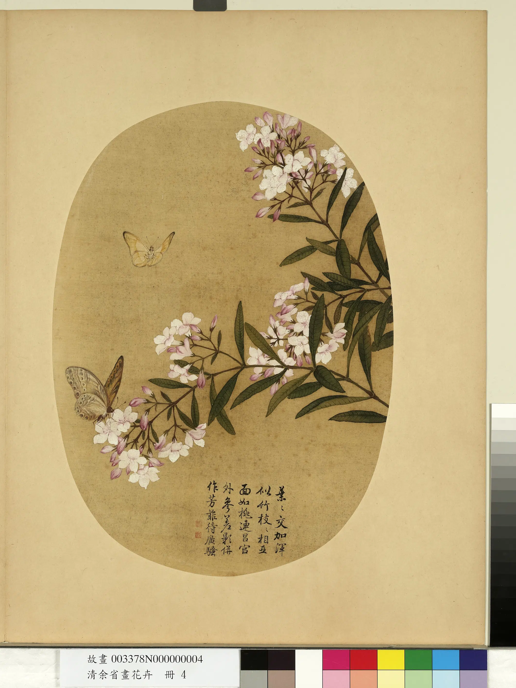 清代【余省】《画花卉册-夹竹桃》