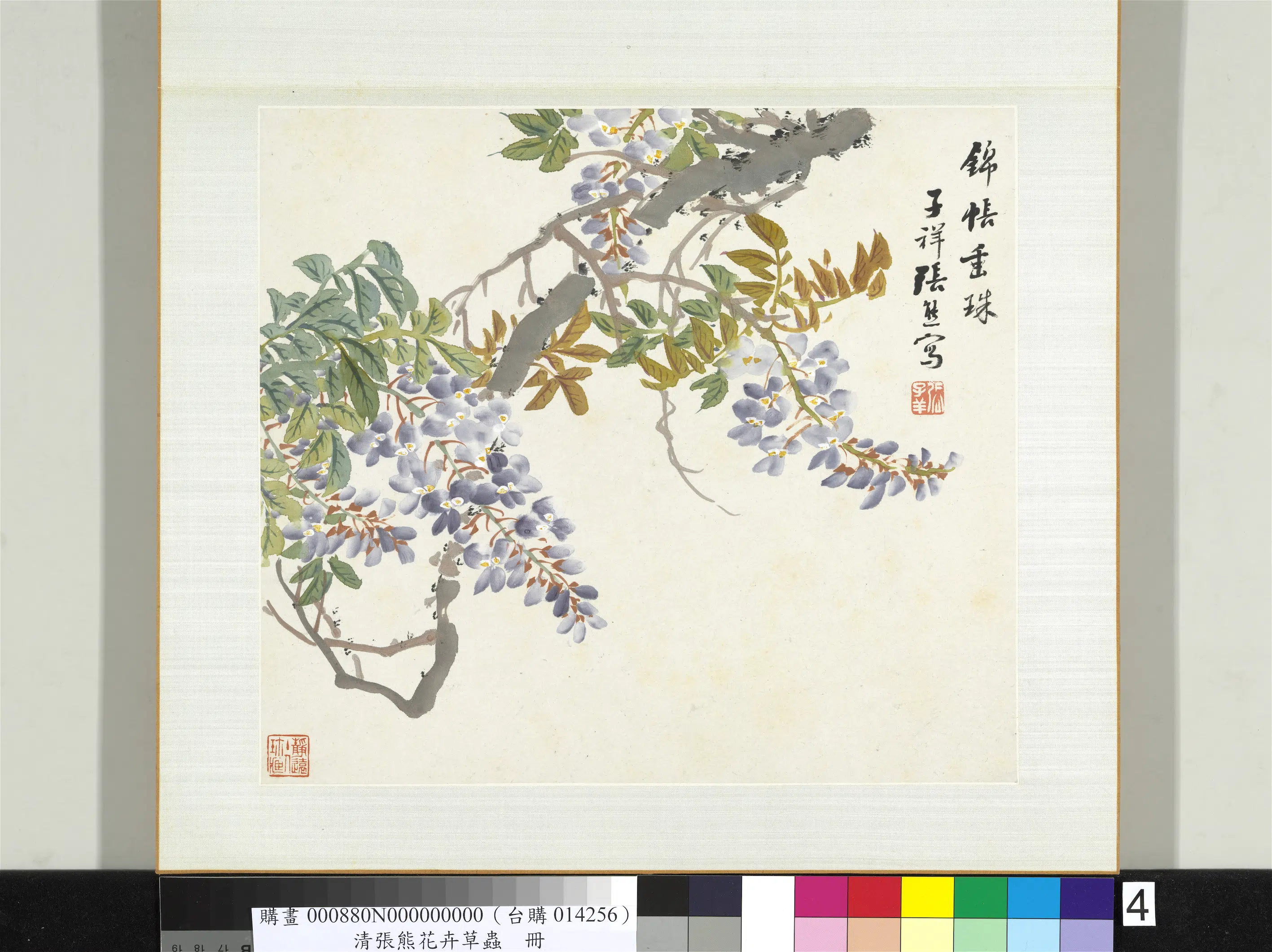 清代【张熊】《花卉草虫册-（四）》