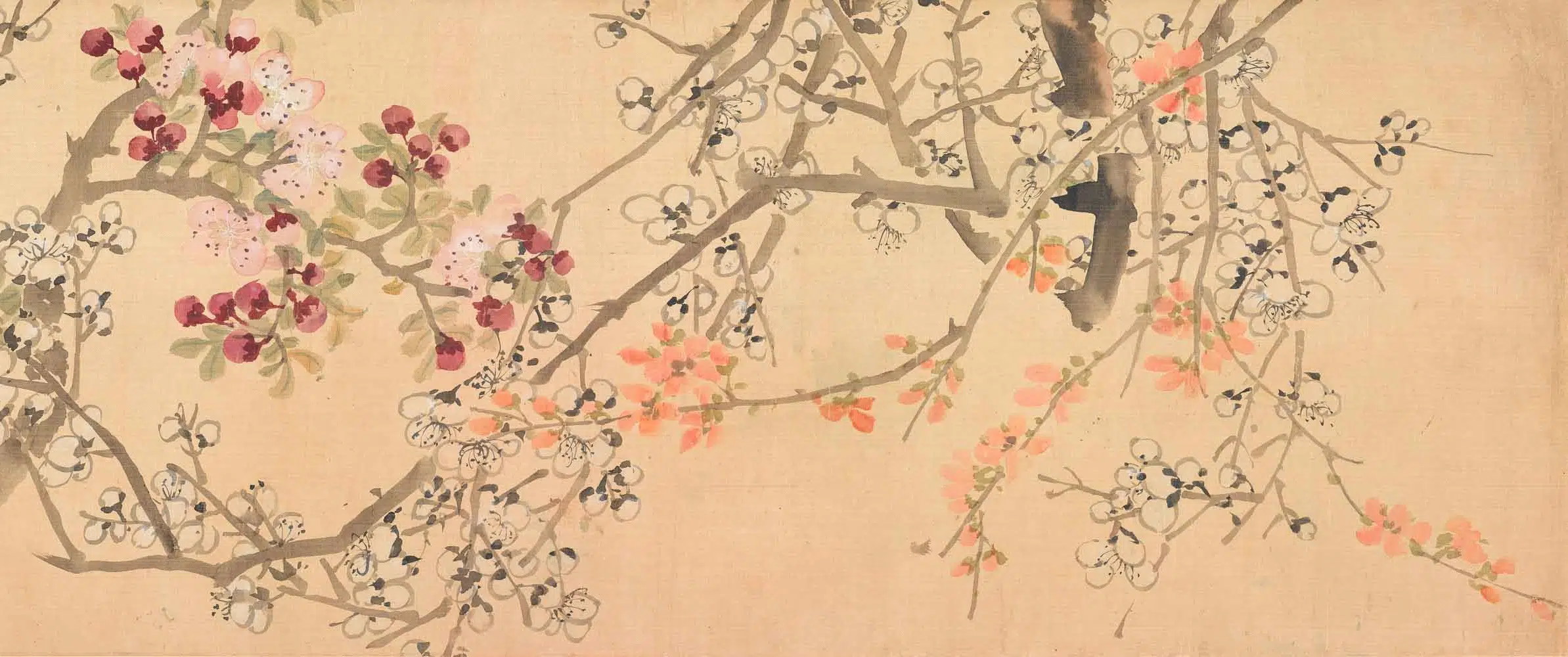 清代【任熊】《花卉图卷》 第3张