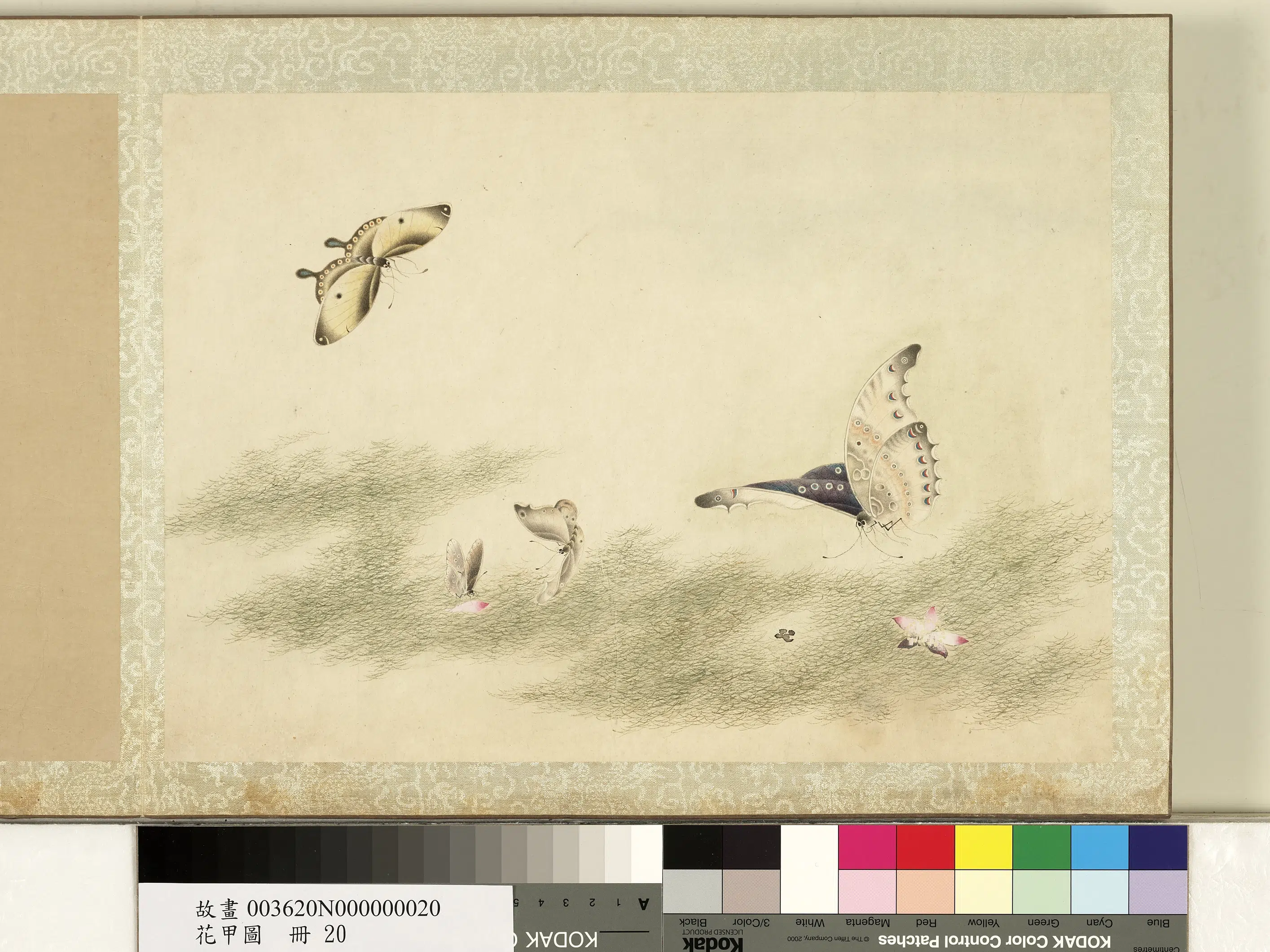 《花甲图册》 第24张 《花甲图册》 第24张