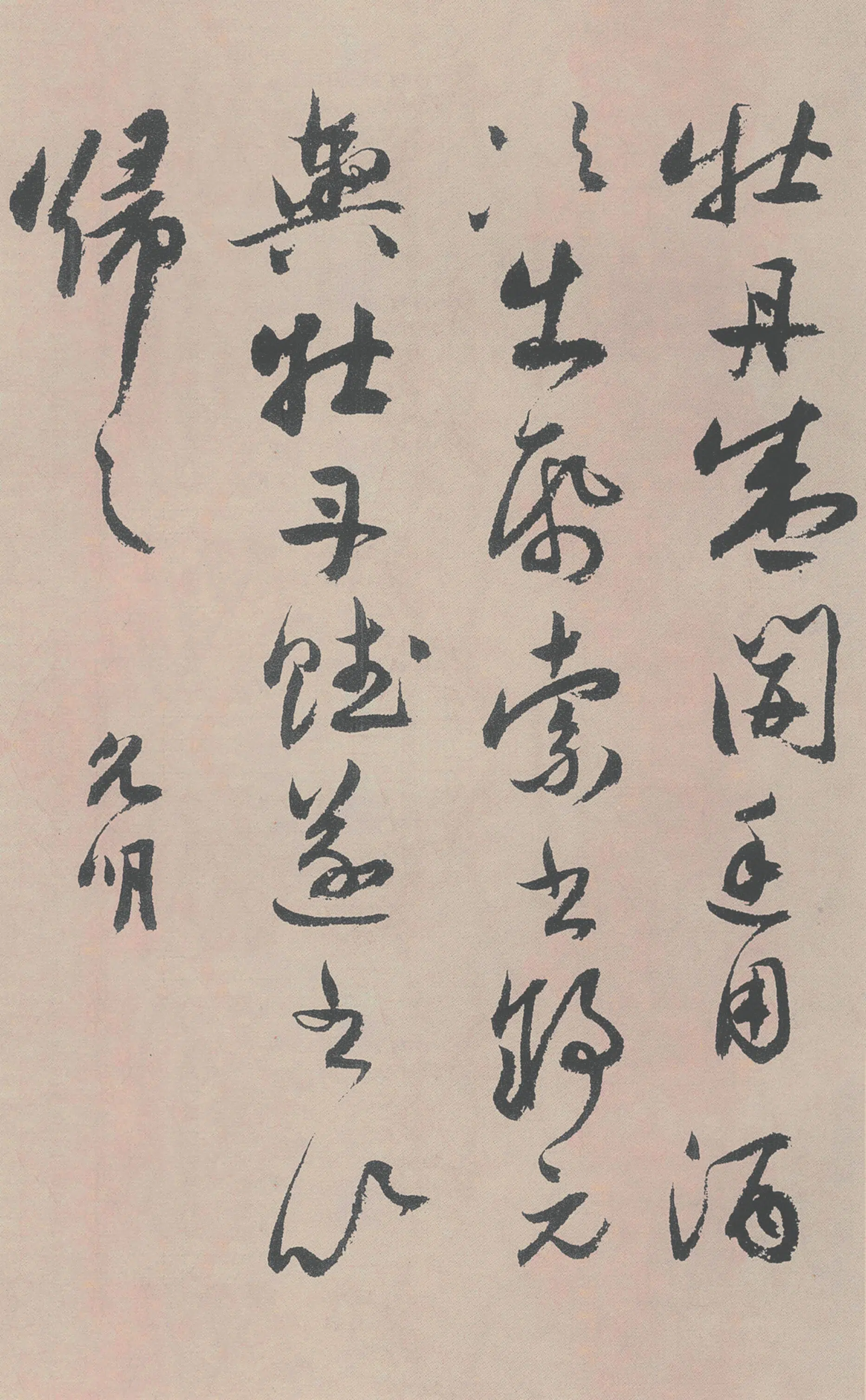 明朝【祝允明】《牡丹赋》 第22张