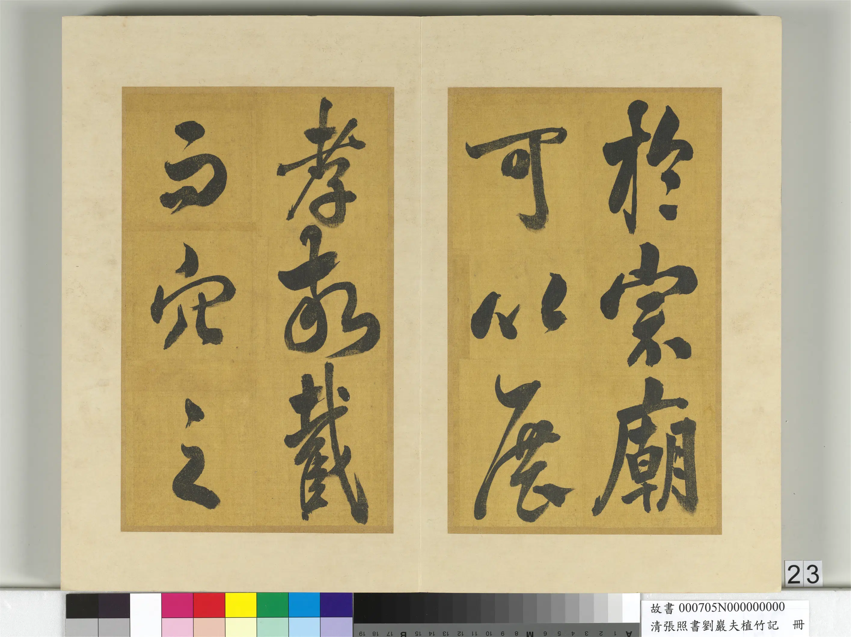 清代【张照】《书刘岩夫植竹记册》 第16张