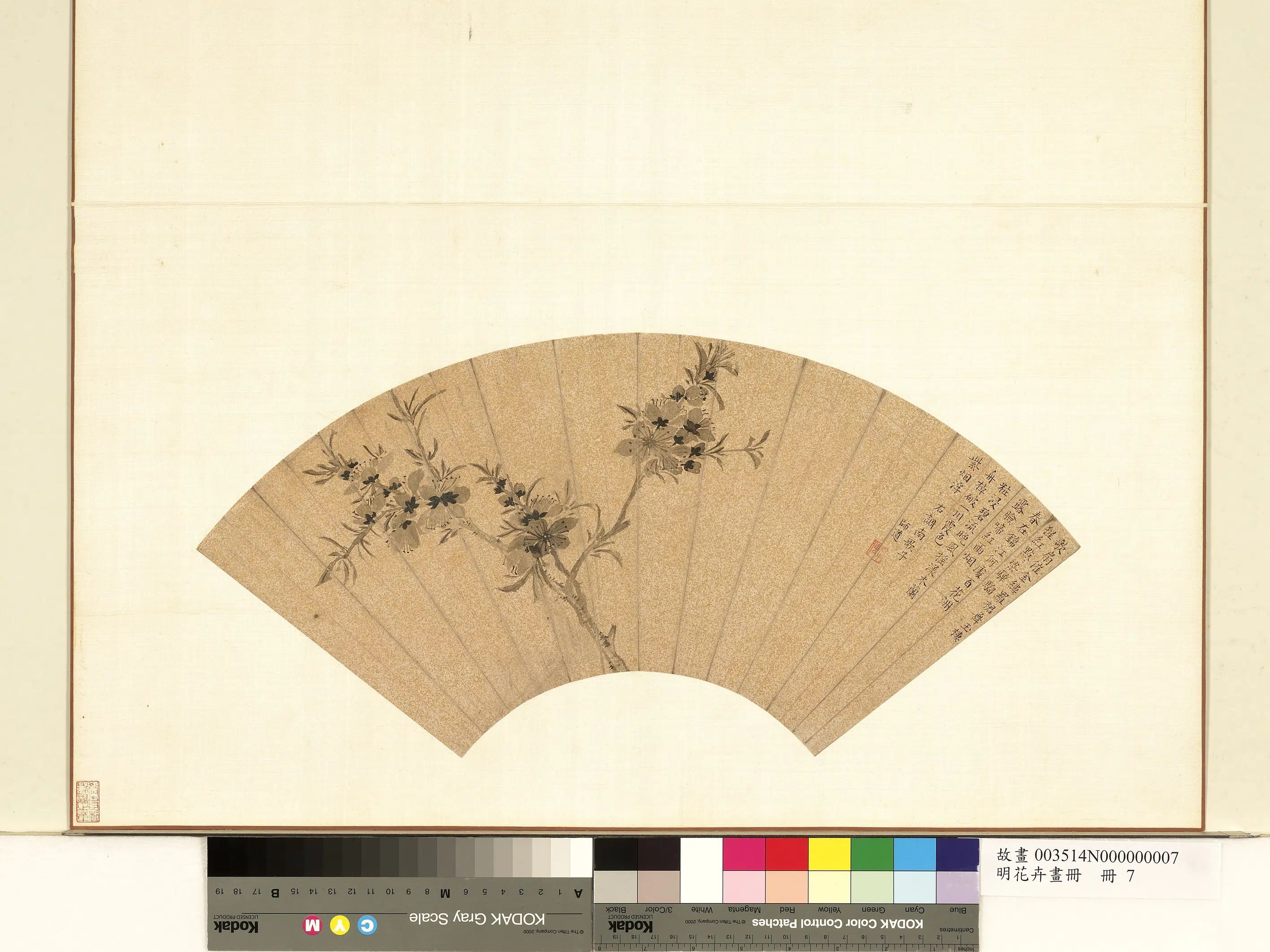 明朝《明花卉画册》 第9张
