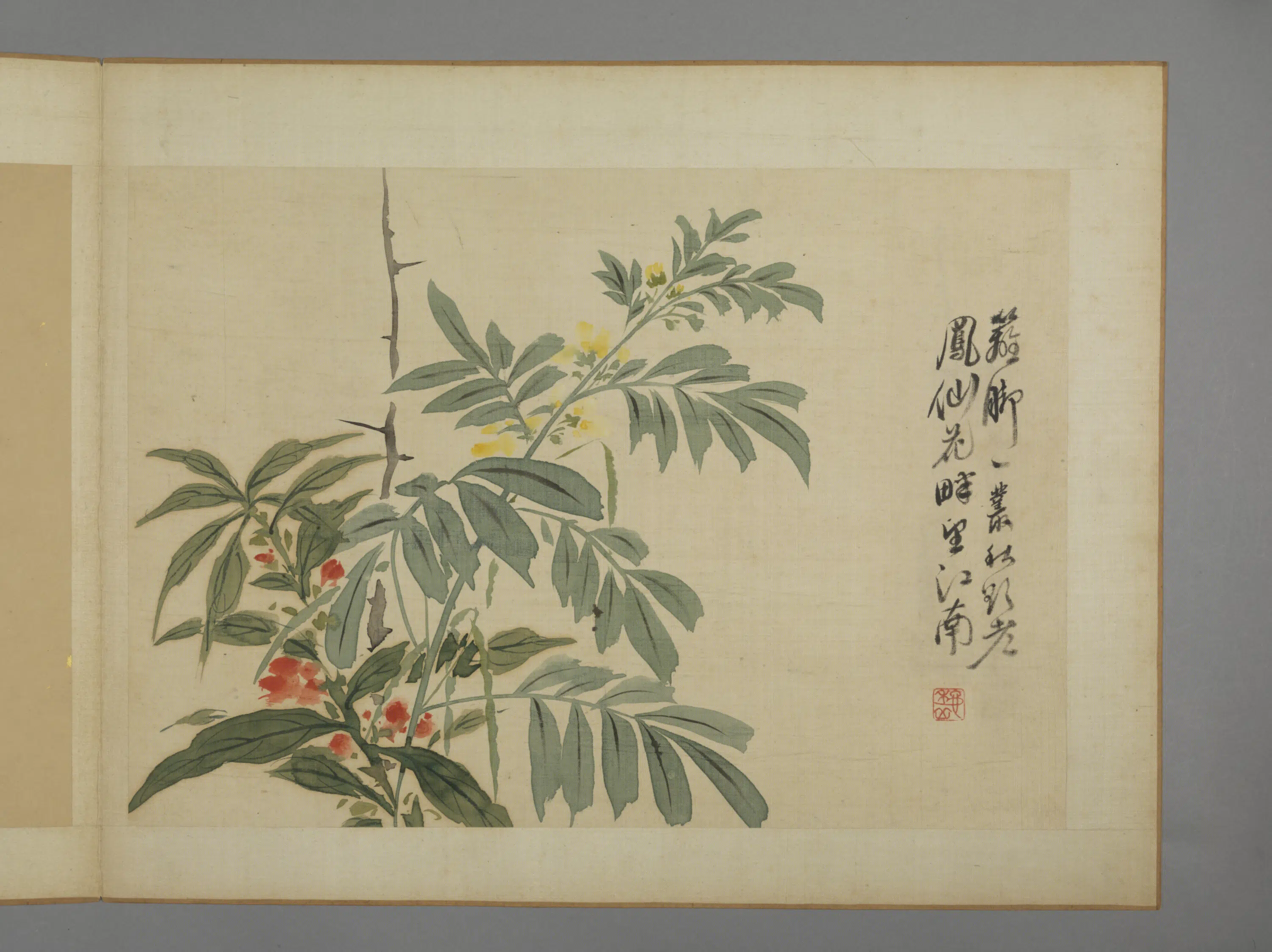 清代【华喦】《花卉图册（11开）》 第9张