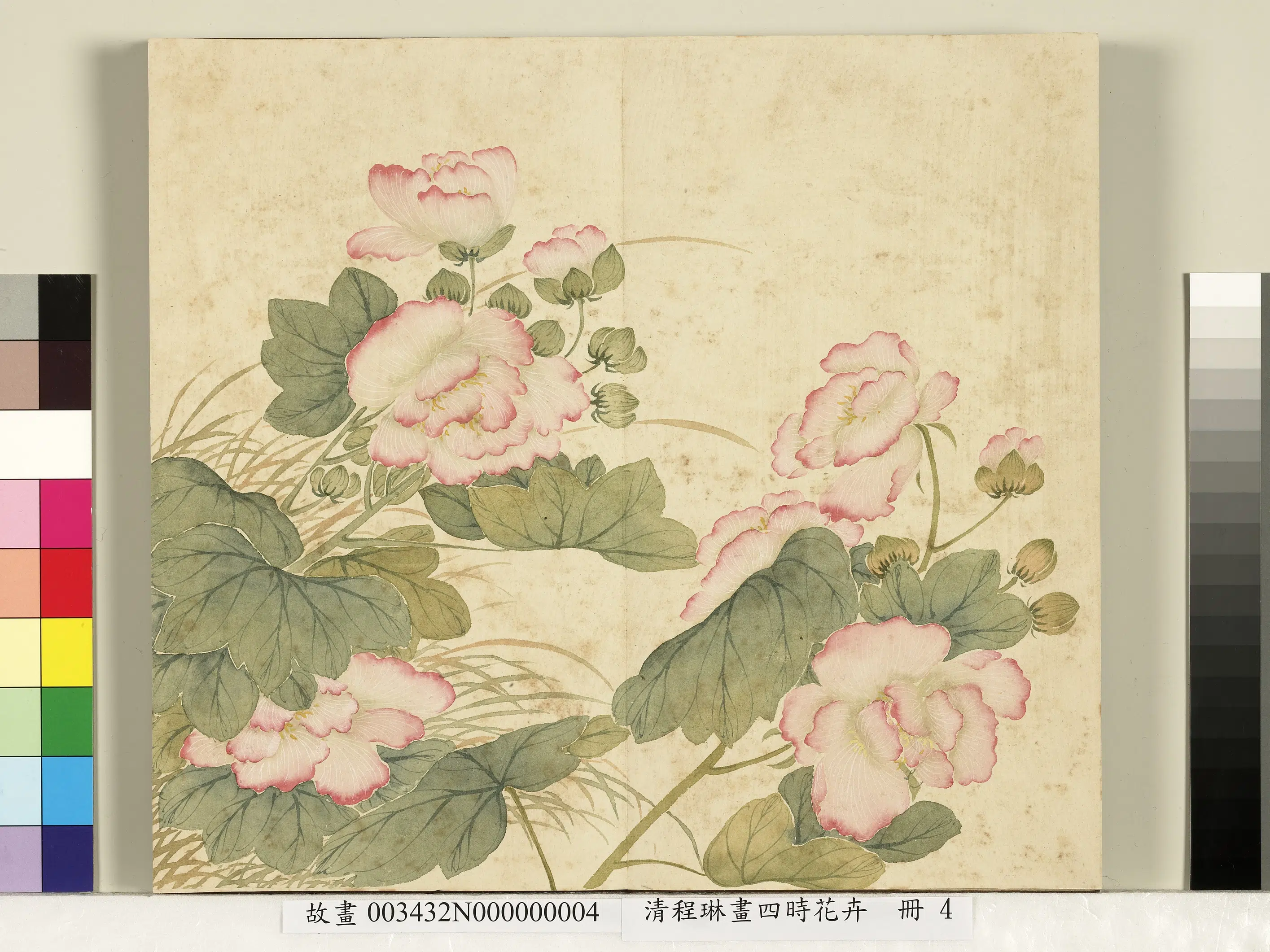 清代【程琳】《画四时花卉册》 第6张 清代【程琳】《画四时花卉册》 第6张