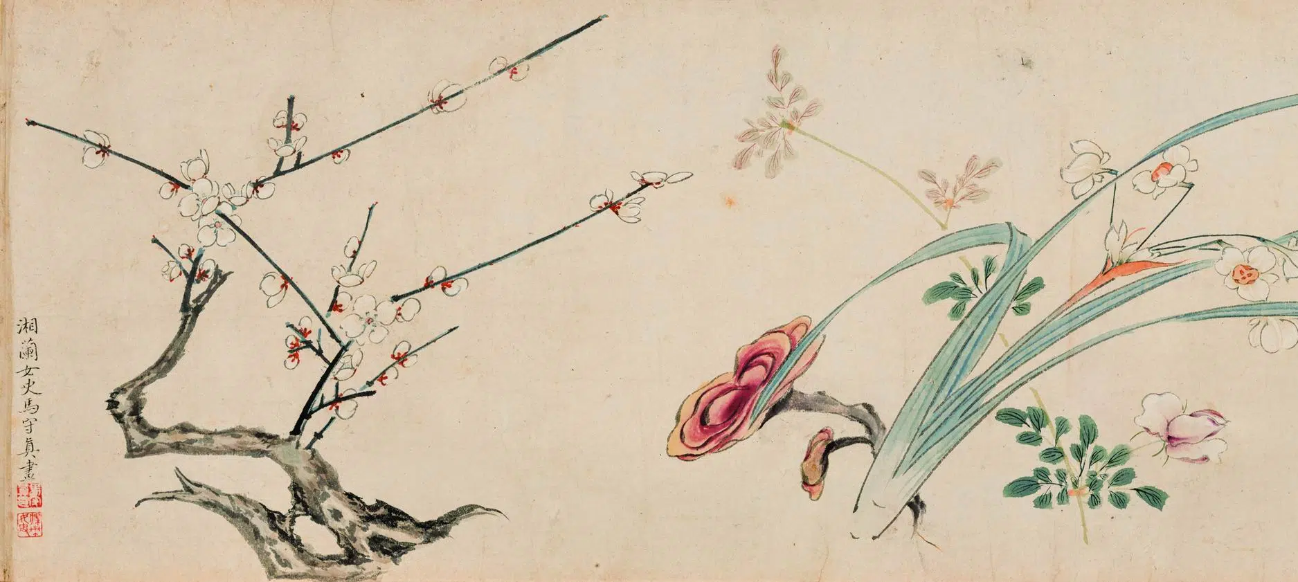 明朝【马守真】《花卉卷》 第1张