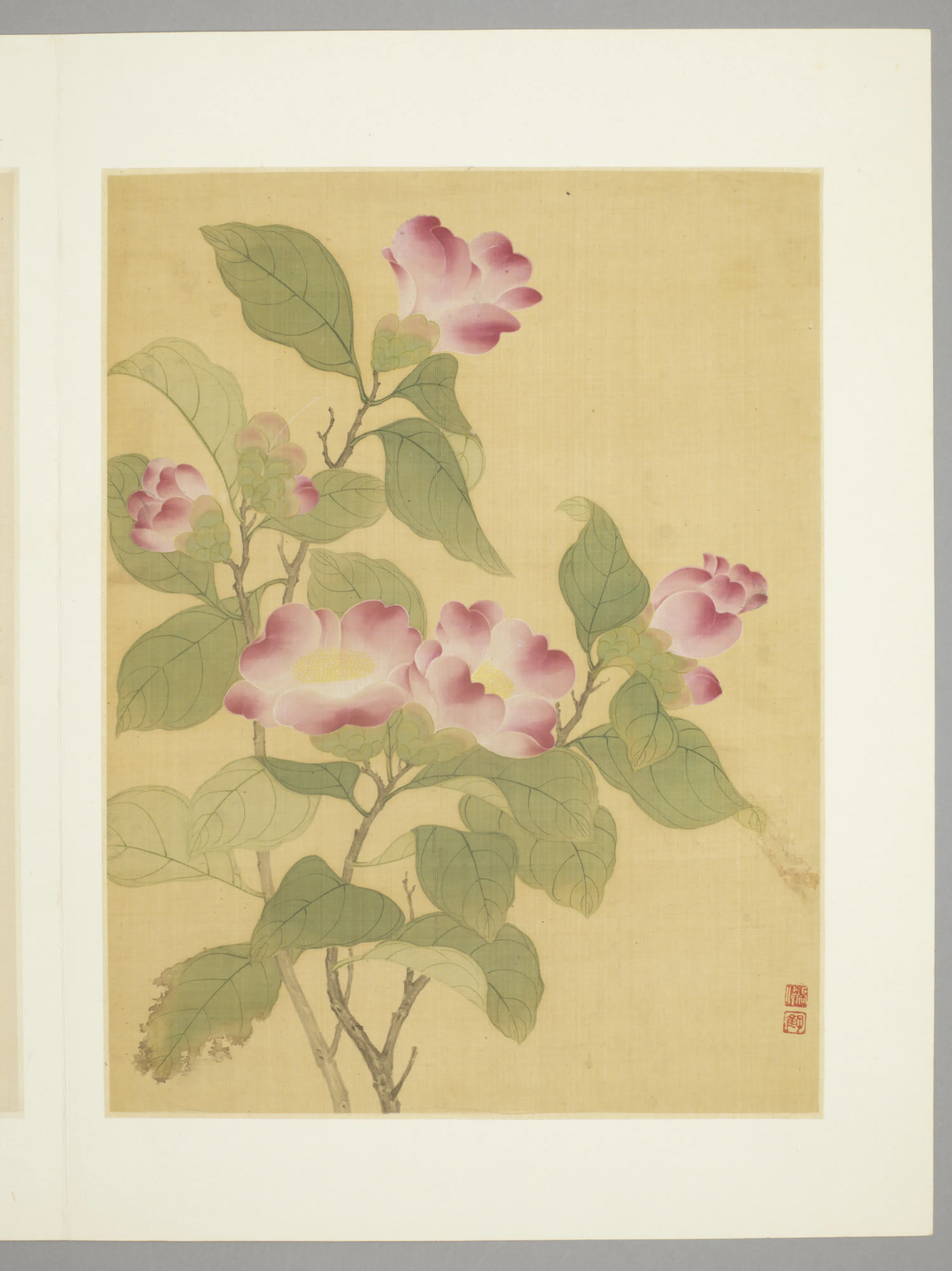 清代【张伟】《花卉册（9开）》 第4张