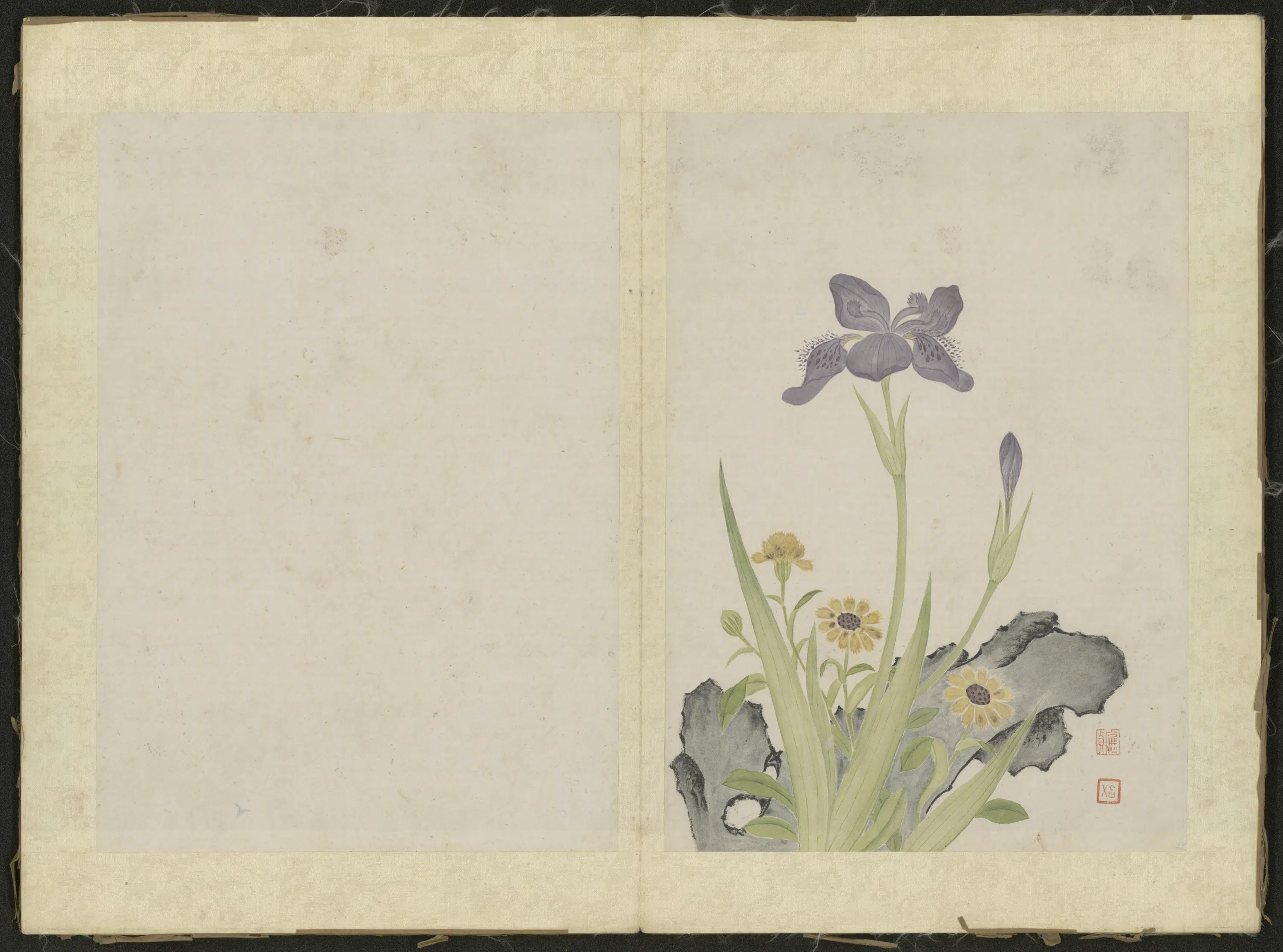 清代【吴应贞】《花卉册（12开）》 第4张