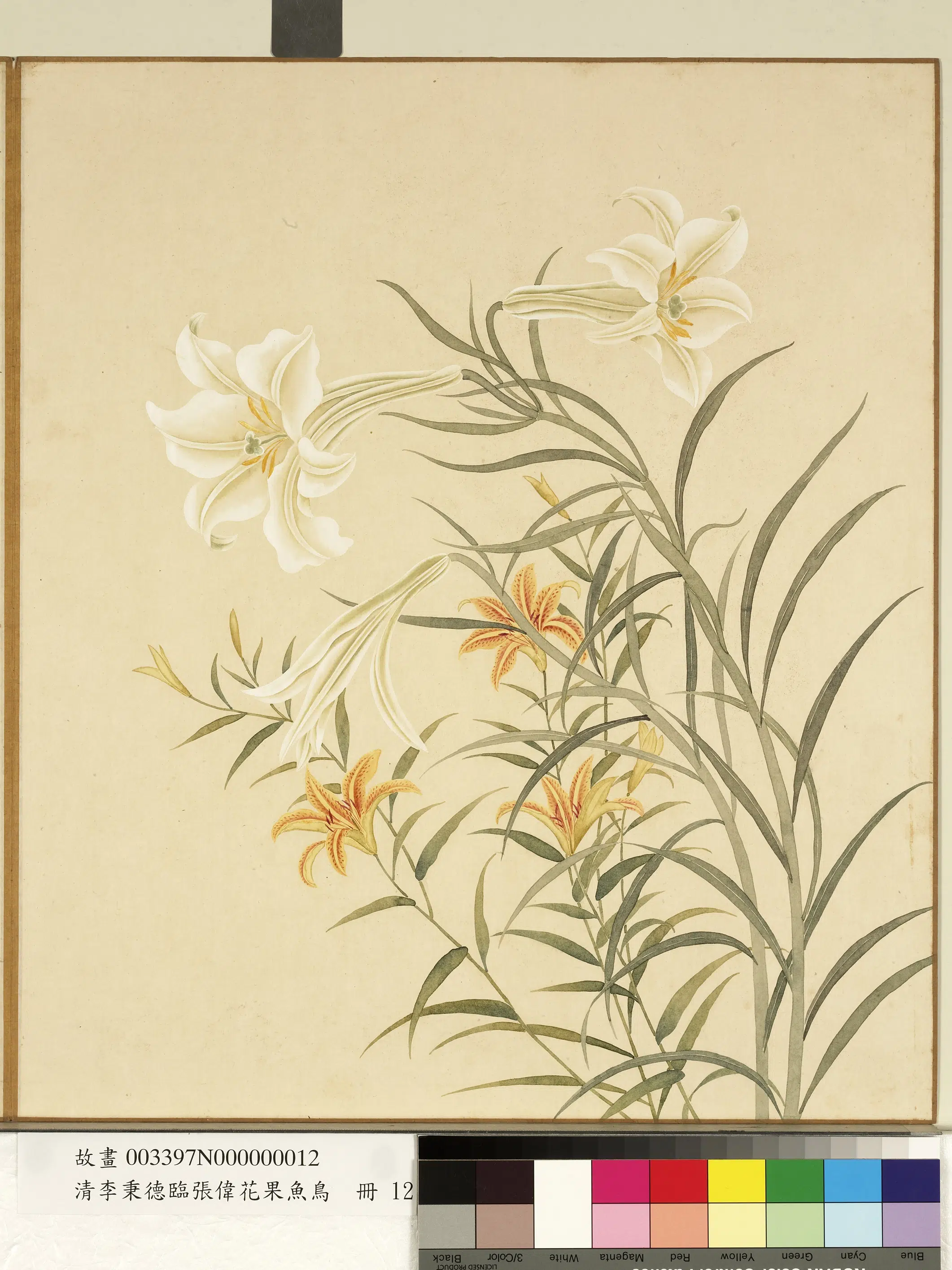 清代【李秉德】《临张伟花果鱼鸟册》 第21张