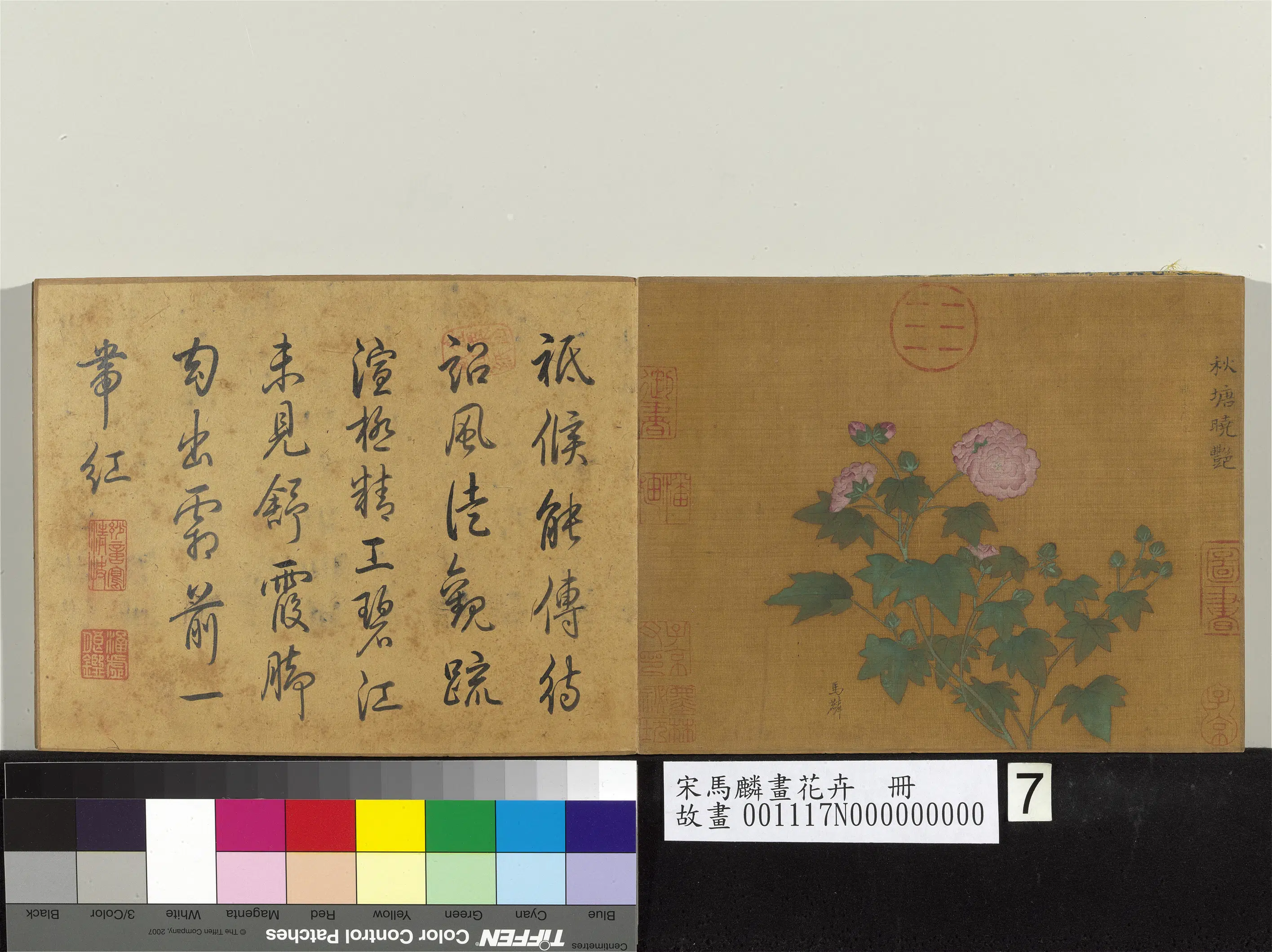 南宋【马麟】《画花卉册-秋塘晓艳》
