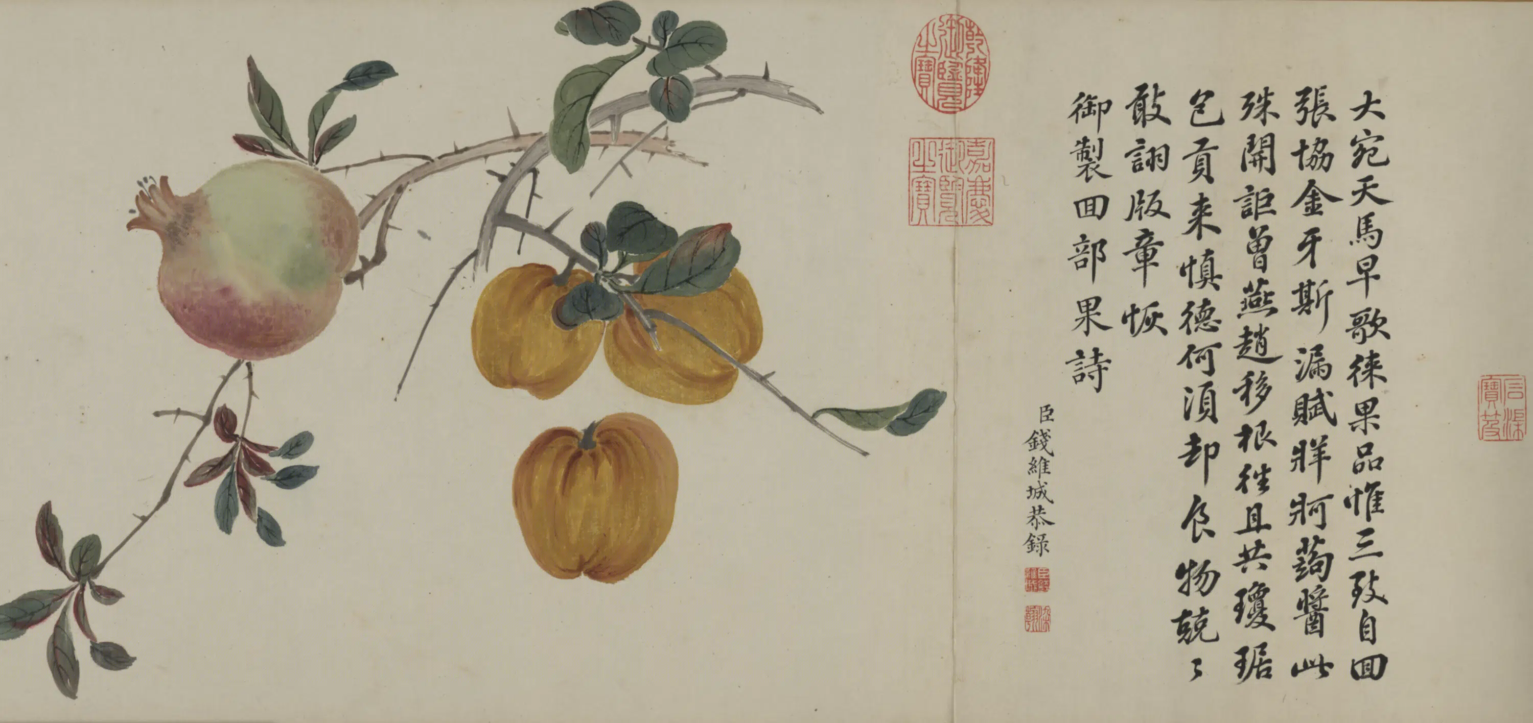清代【钱维城】《回部四果卷》 第3张