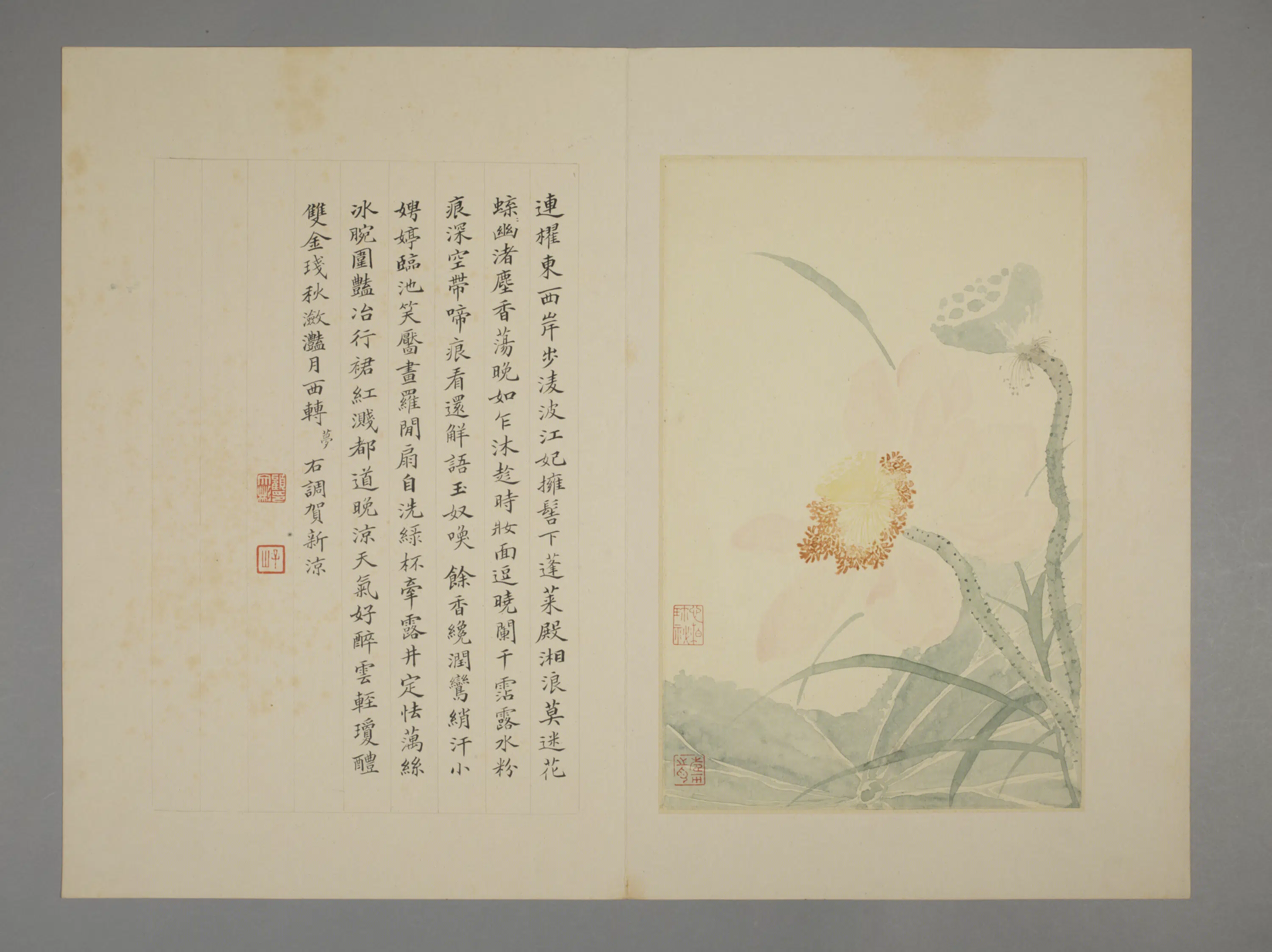 清代【恽寿平】《花卉册（7开）》 第5张