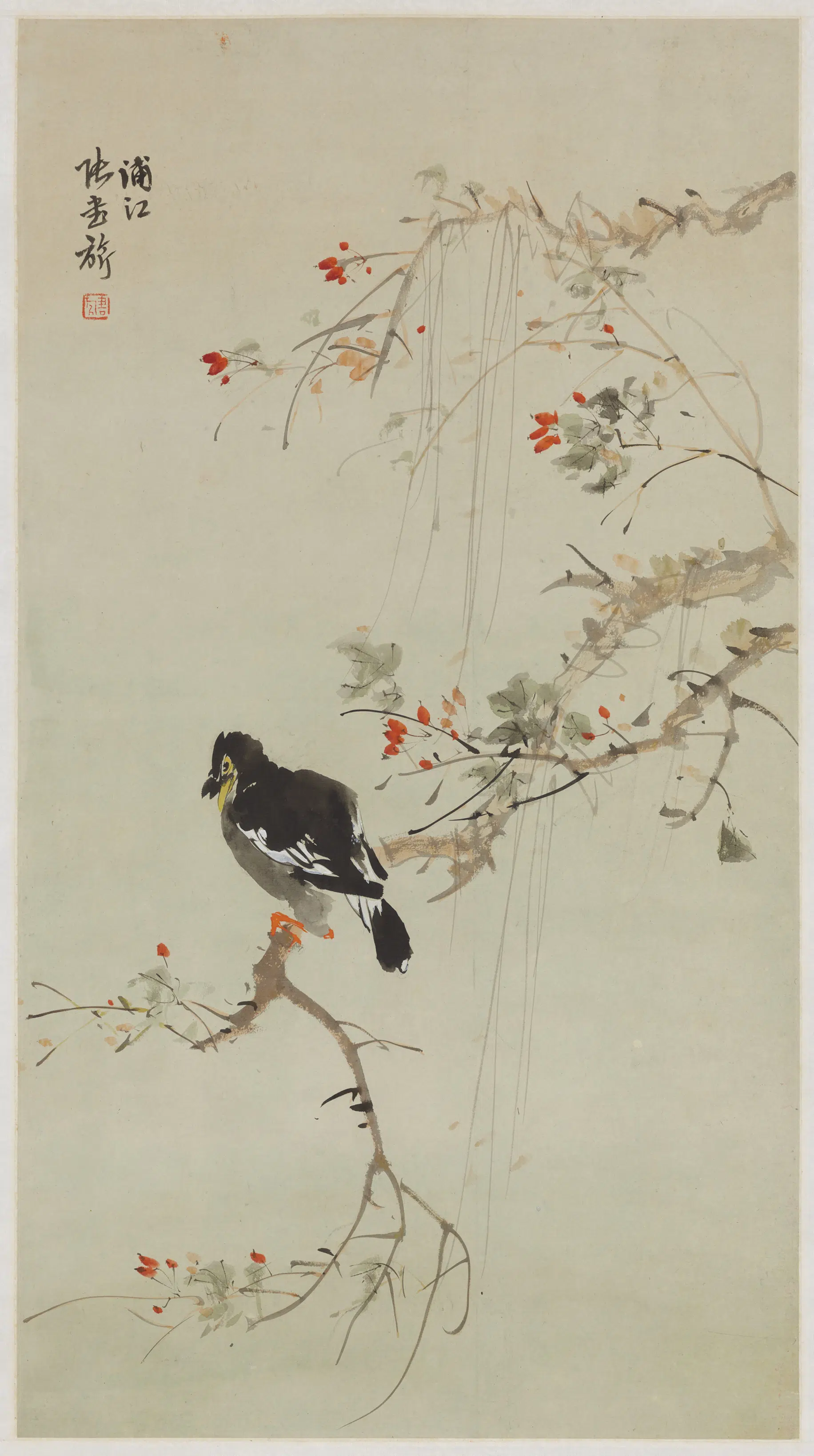近现代【张书旗】《画八哥》