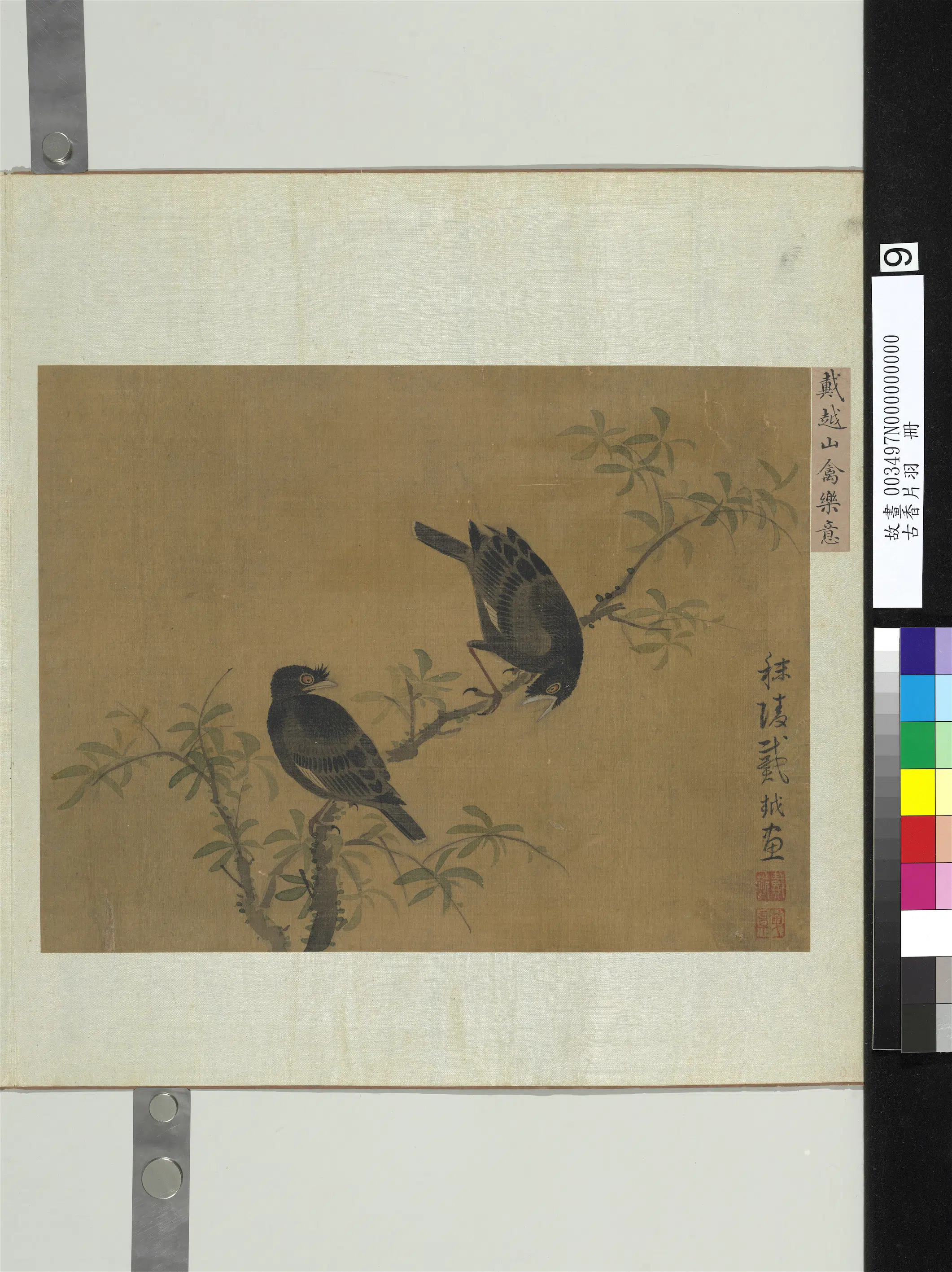 《古香片羽册》 第7张 《古香片羽册》 第7张