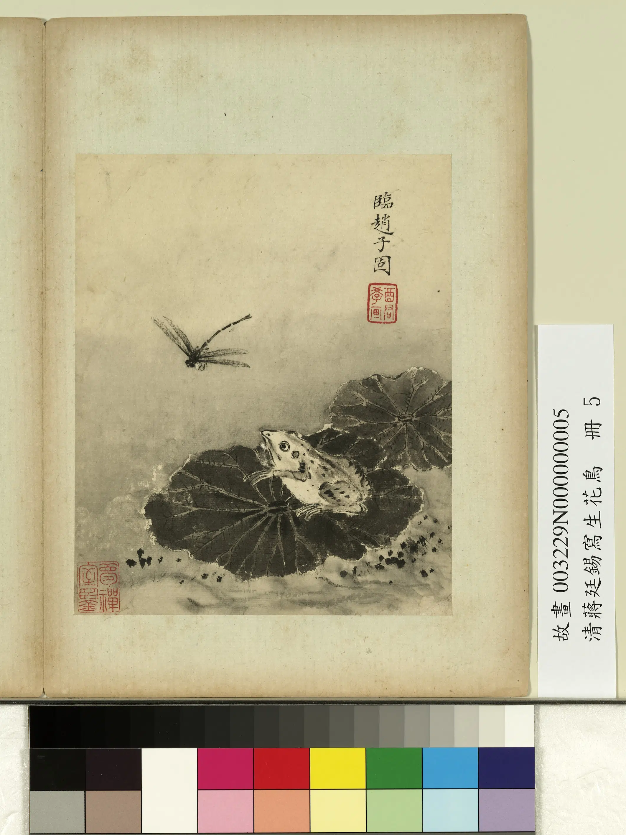 清代【蒋廷锡】《写生花鸟册》 第6张