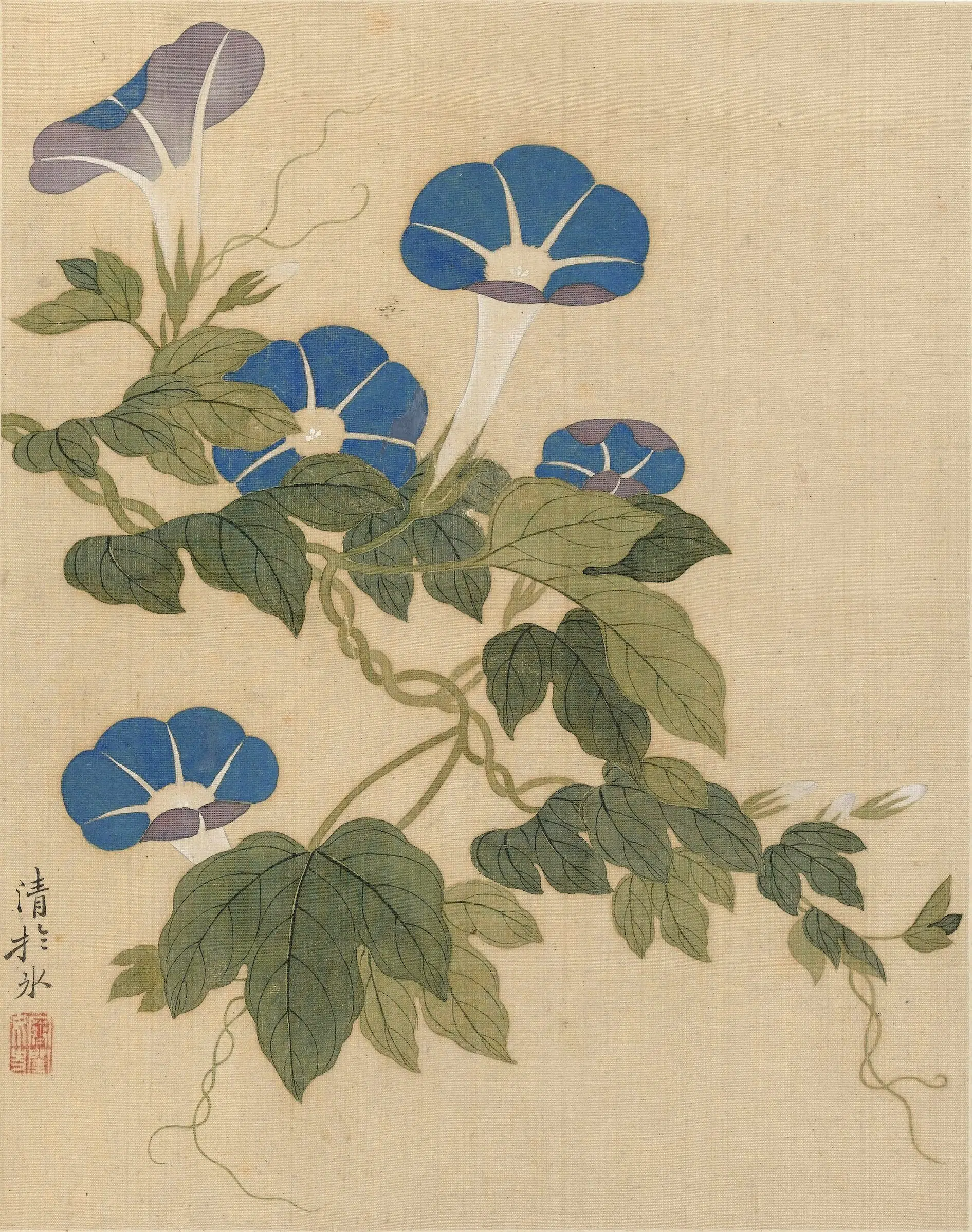 清代【恽冰】《花卉册（十开）》 第8张