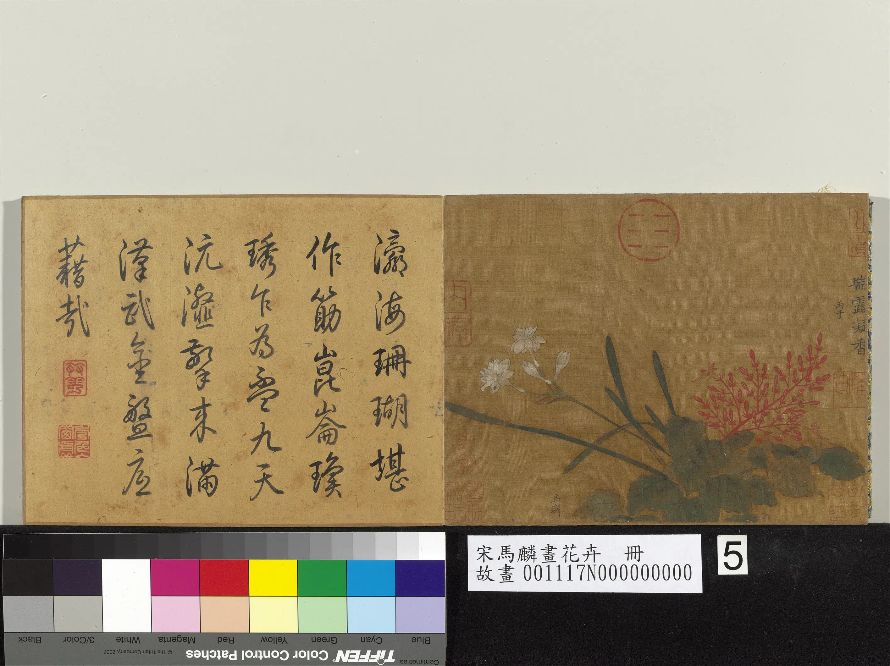 南宋【马麟】《画花卉册-瑞露凝香》