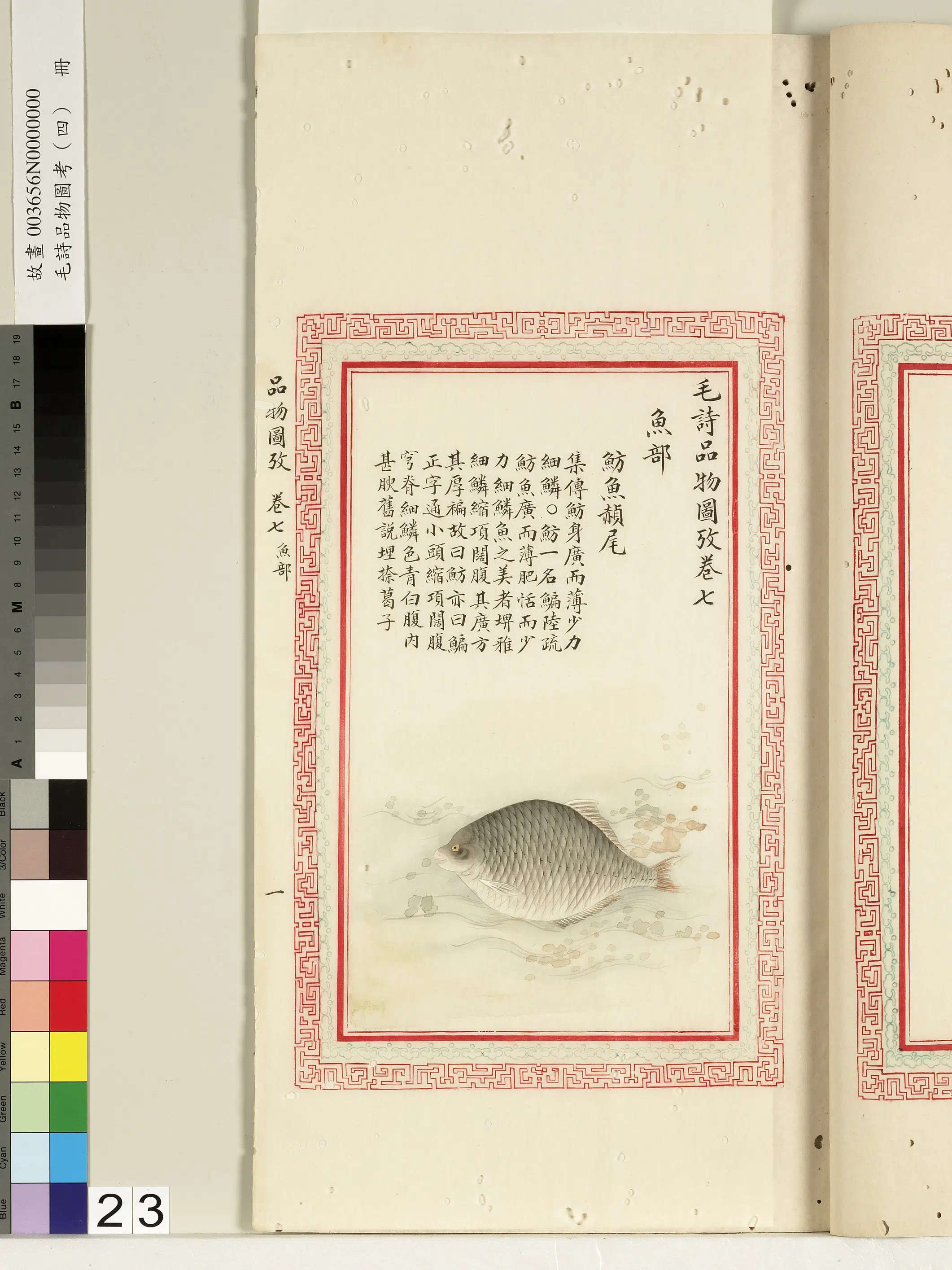 清朝【佚名】《毛诗品物图考（四）册-鲂鱼赪尾-1》