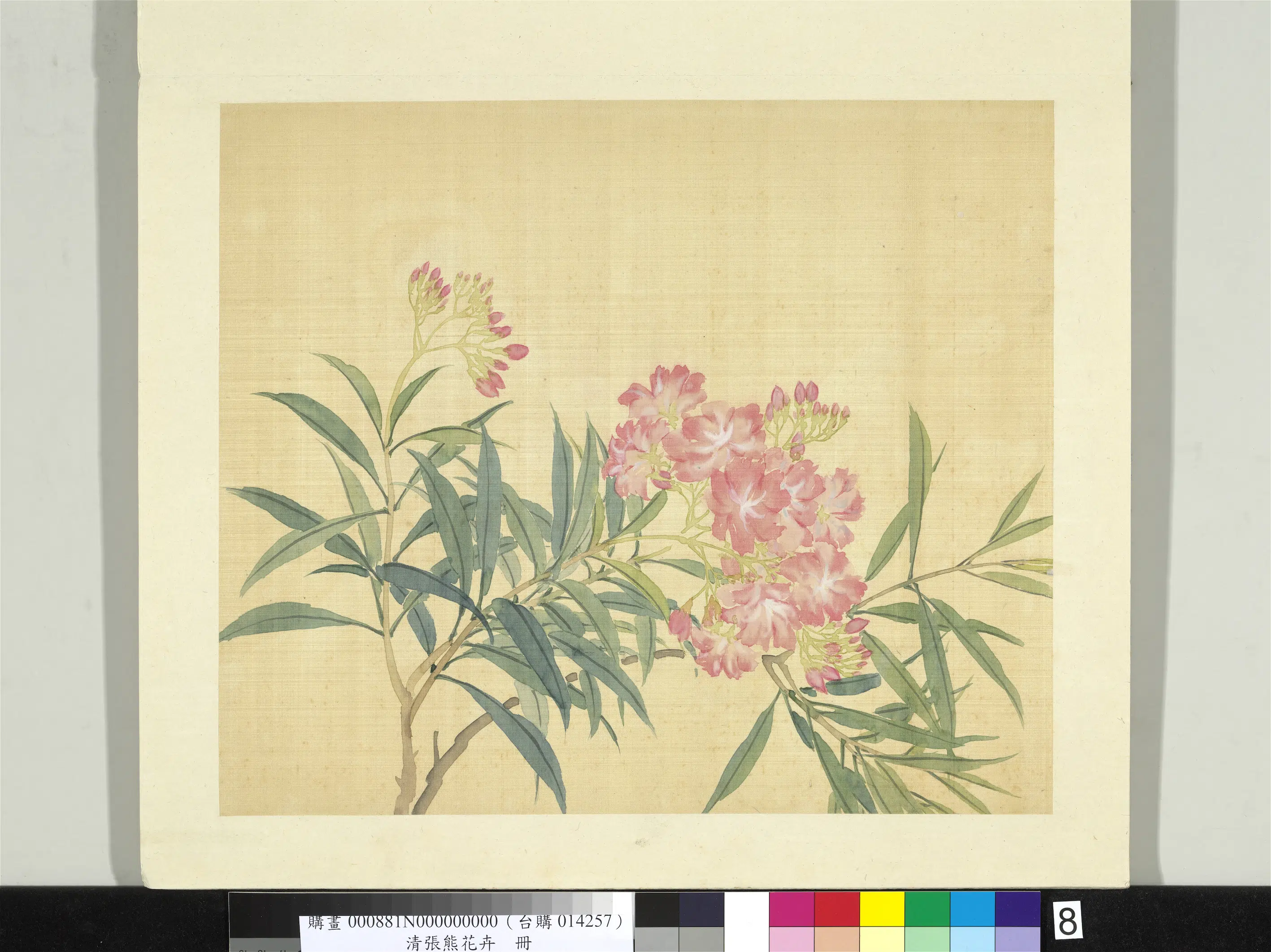 清代【张熊】《花卉册》 第3张 清代【张熊】《花卉册》 第3张