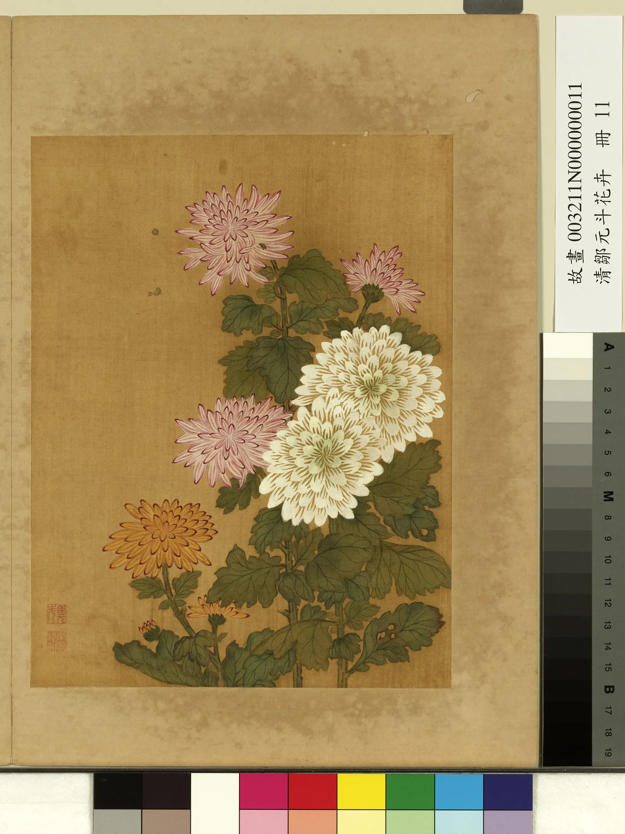 清代【邹元斗】《花卉册-菊》