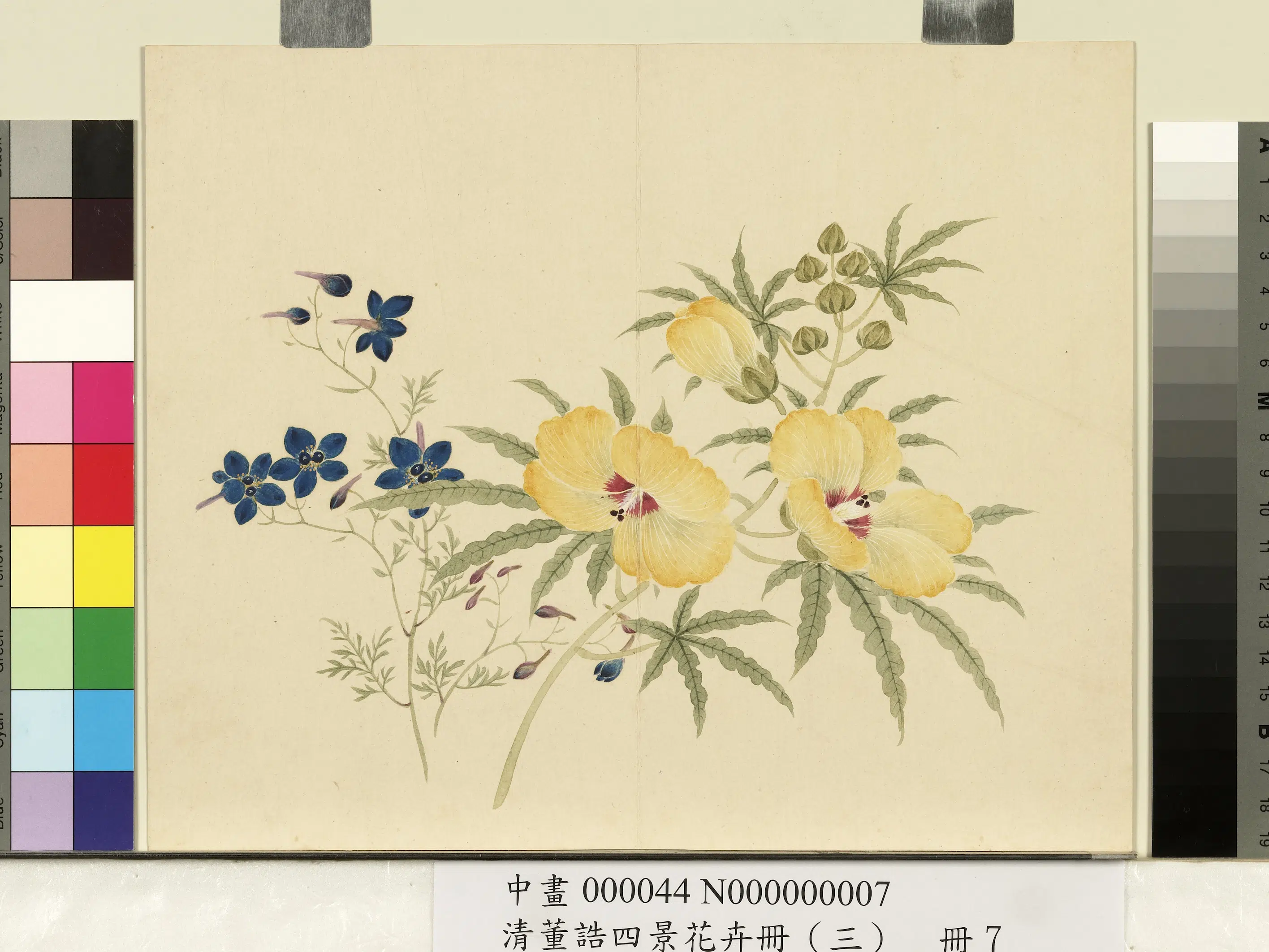 清代【董诰】《四景花卉（三）册-秋景花卉之七》 第1张
