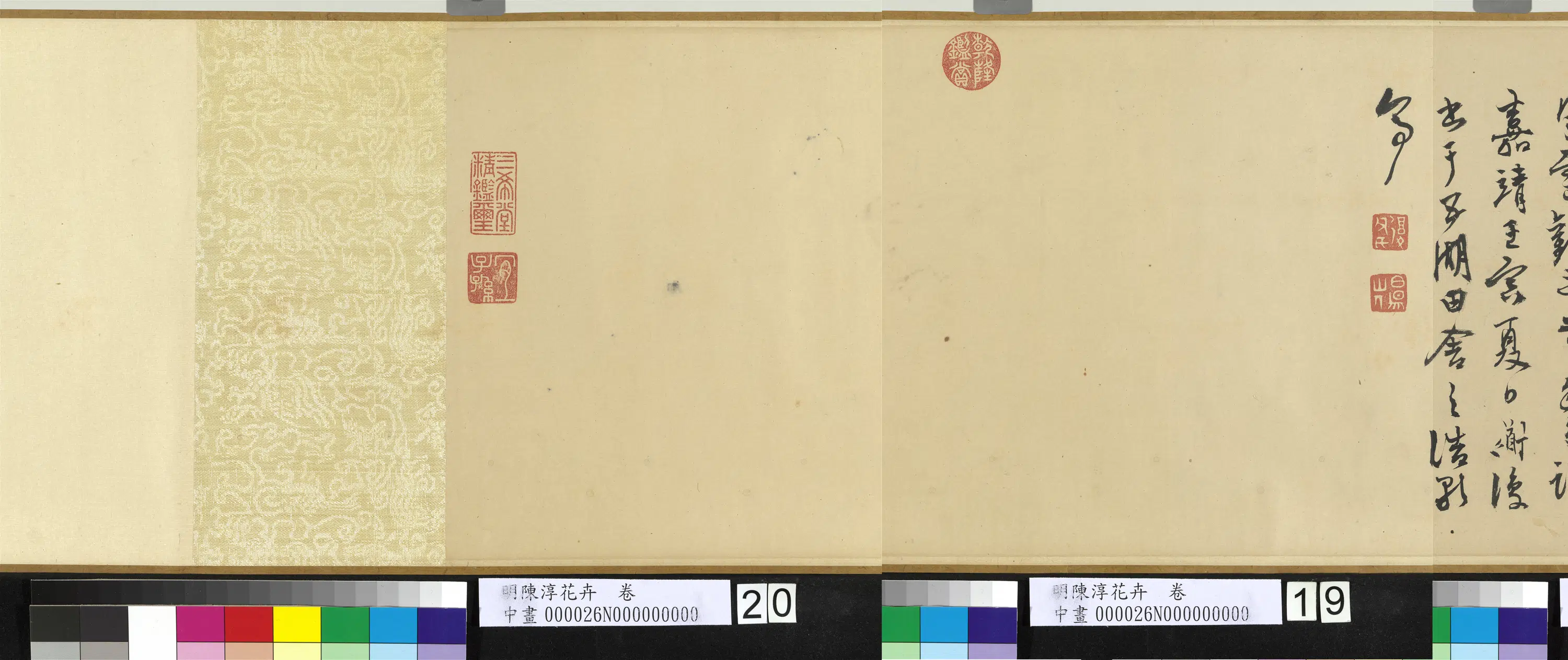 明朝【陈淳（道复）】《花卉图卷-1》