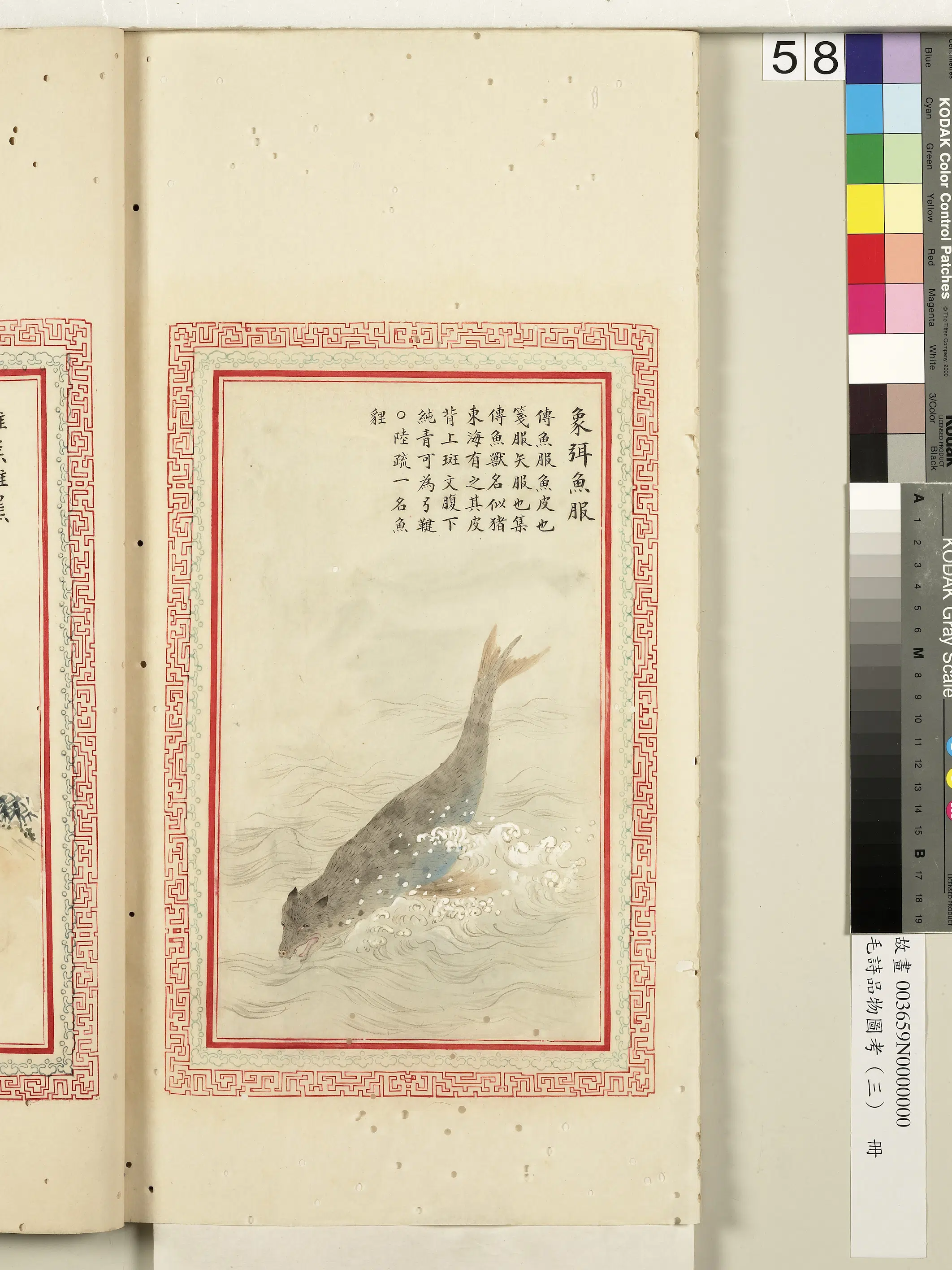 清代《毛诗品物图考(三)册-2》 第47张 清代《毛诗品物图考(三)册-2》 第47张