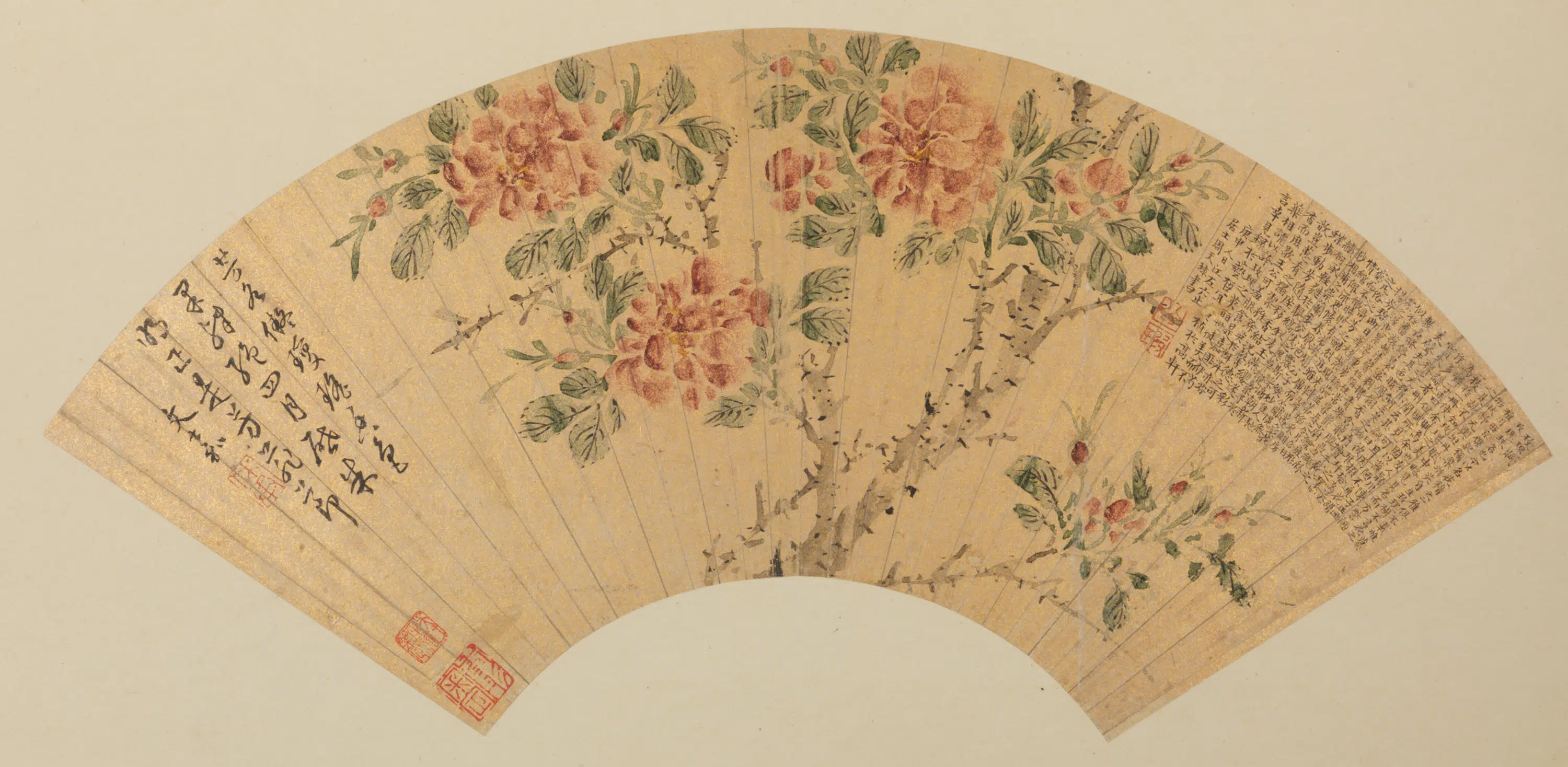 明朝【文嘉】《画玫瑰花周天球书玫瑰赋合璧扇》