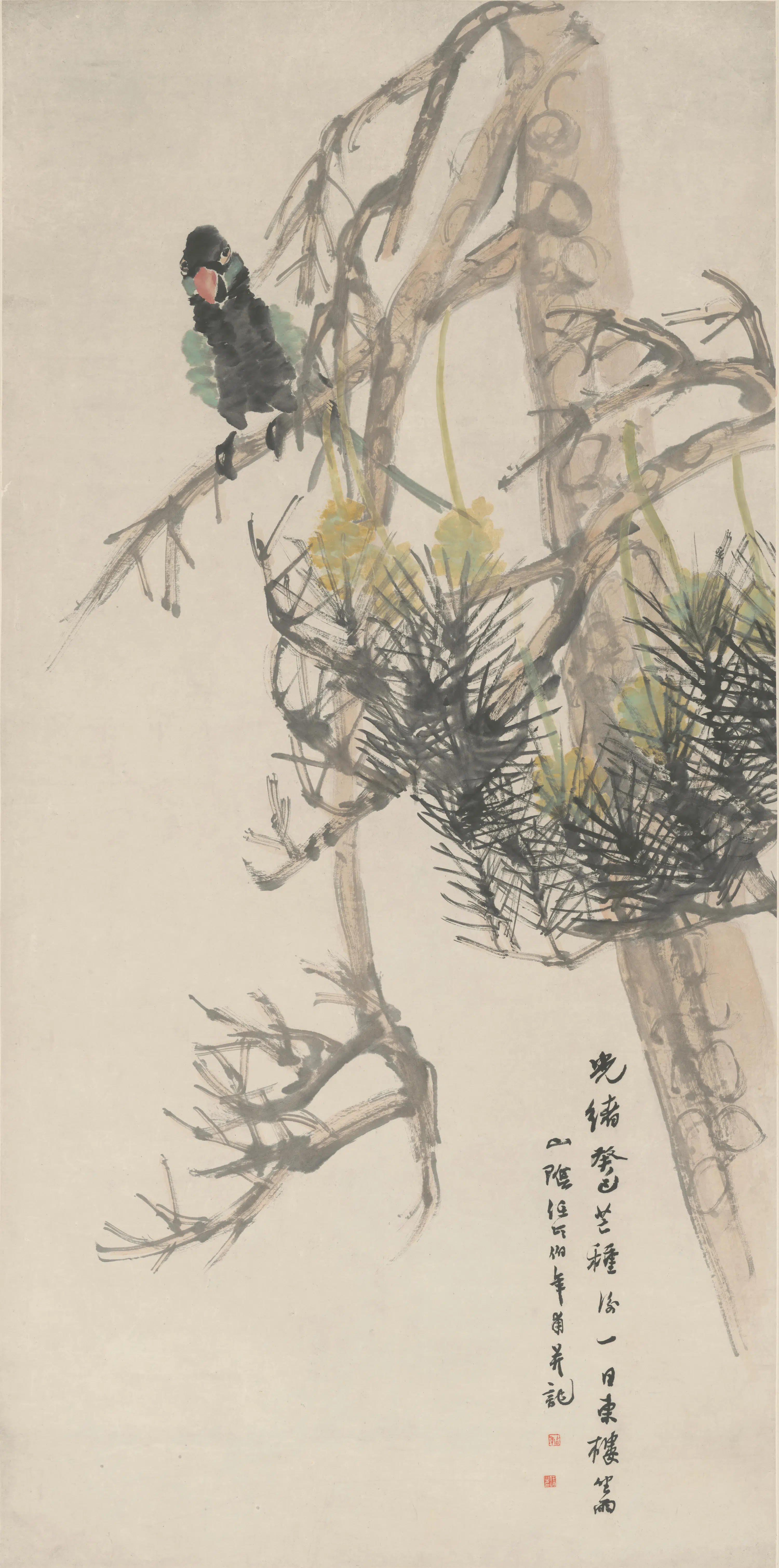 清代【任颐】《苍松鹦鹉图轴》