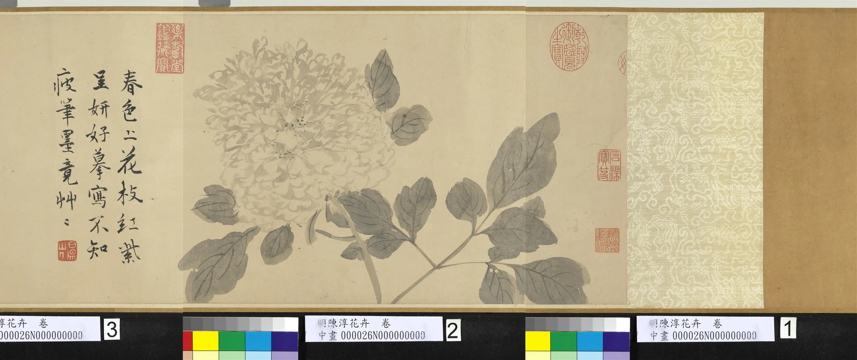 明朝【陈淳(道复)】《花卉图卷-1》 第8张 明朝【陈淳(道复)】《花卉图卷-1》 第8张