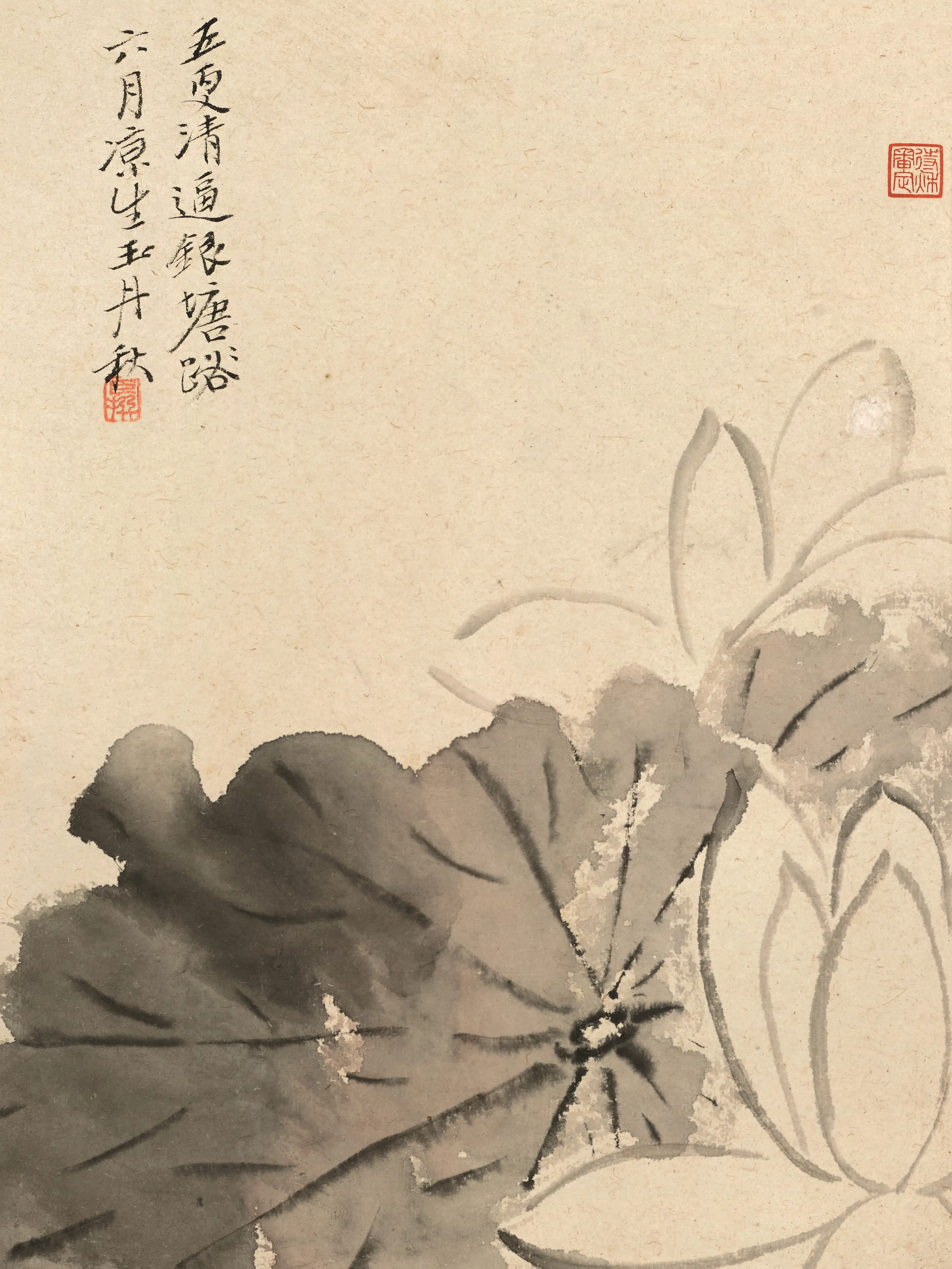 清代【陈撰】《花卉图册-2》 第9张