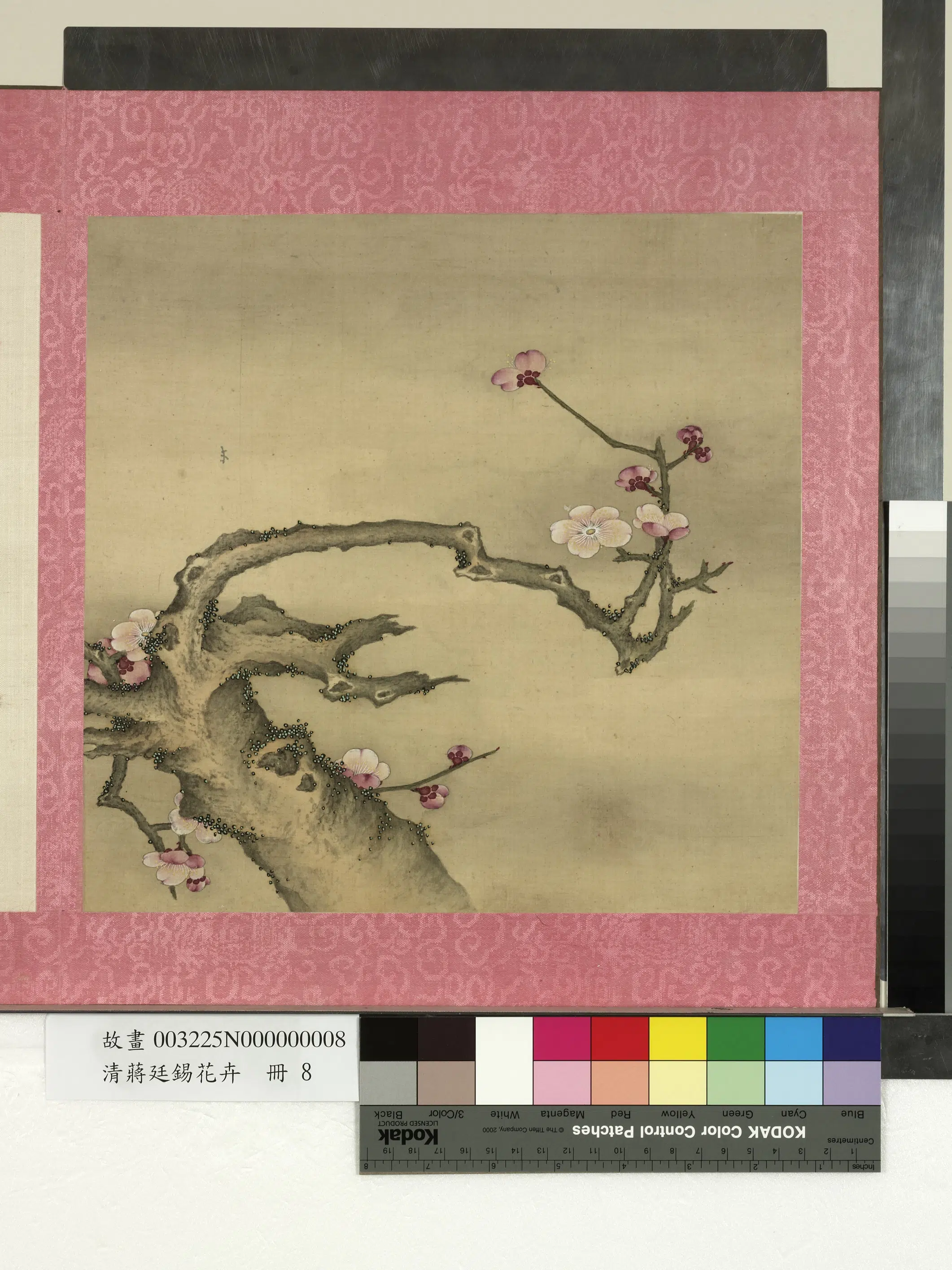 清代【蒋廷锡】《花卉册-梅花》