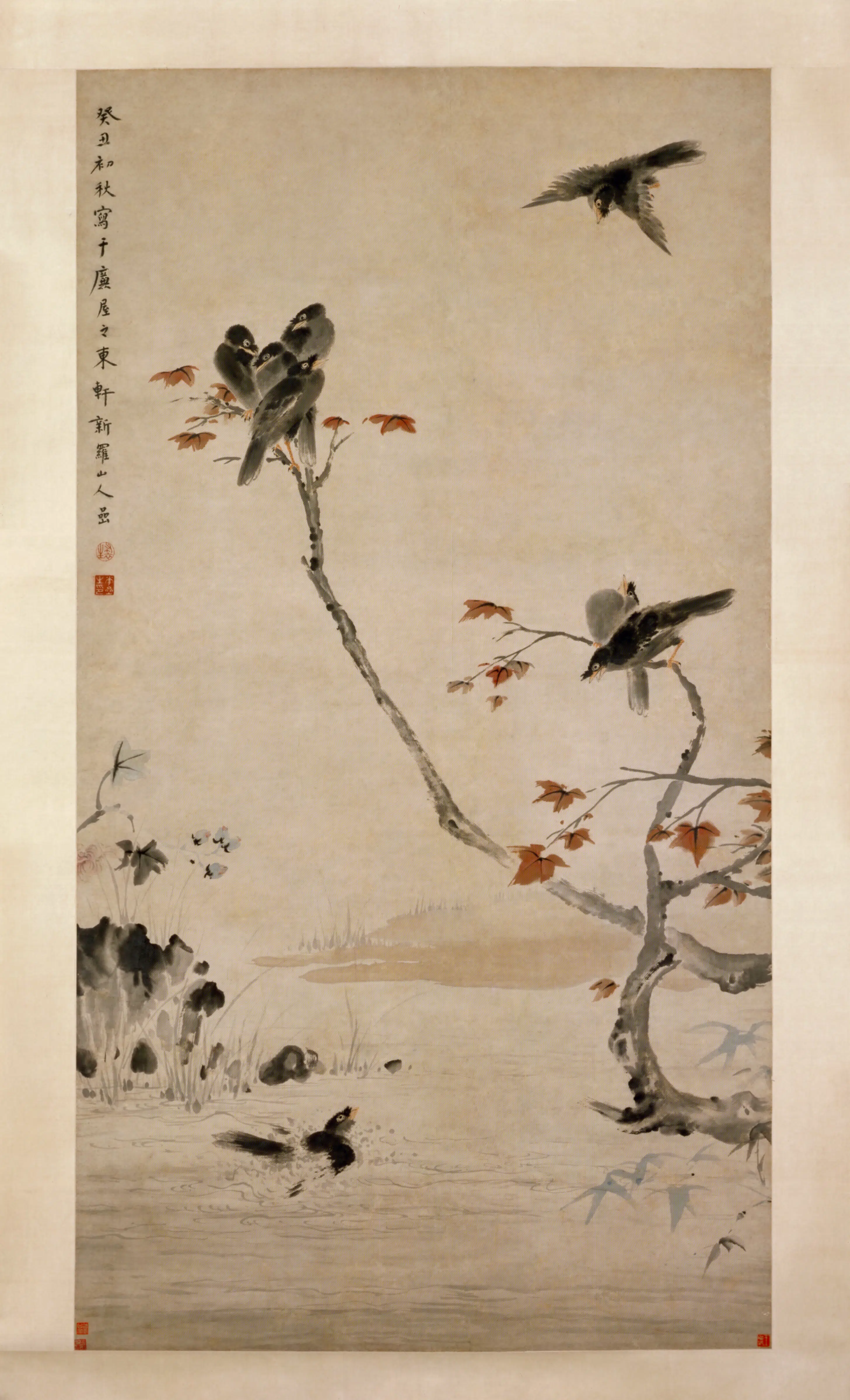 清代【华嵒】《秋树八哥图轴》