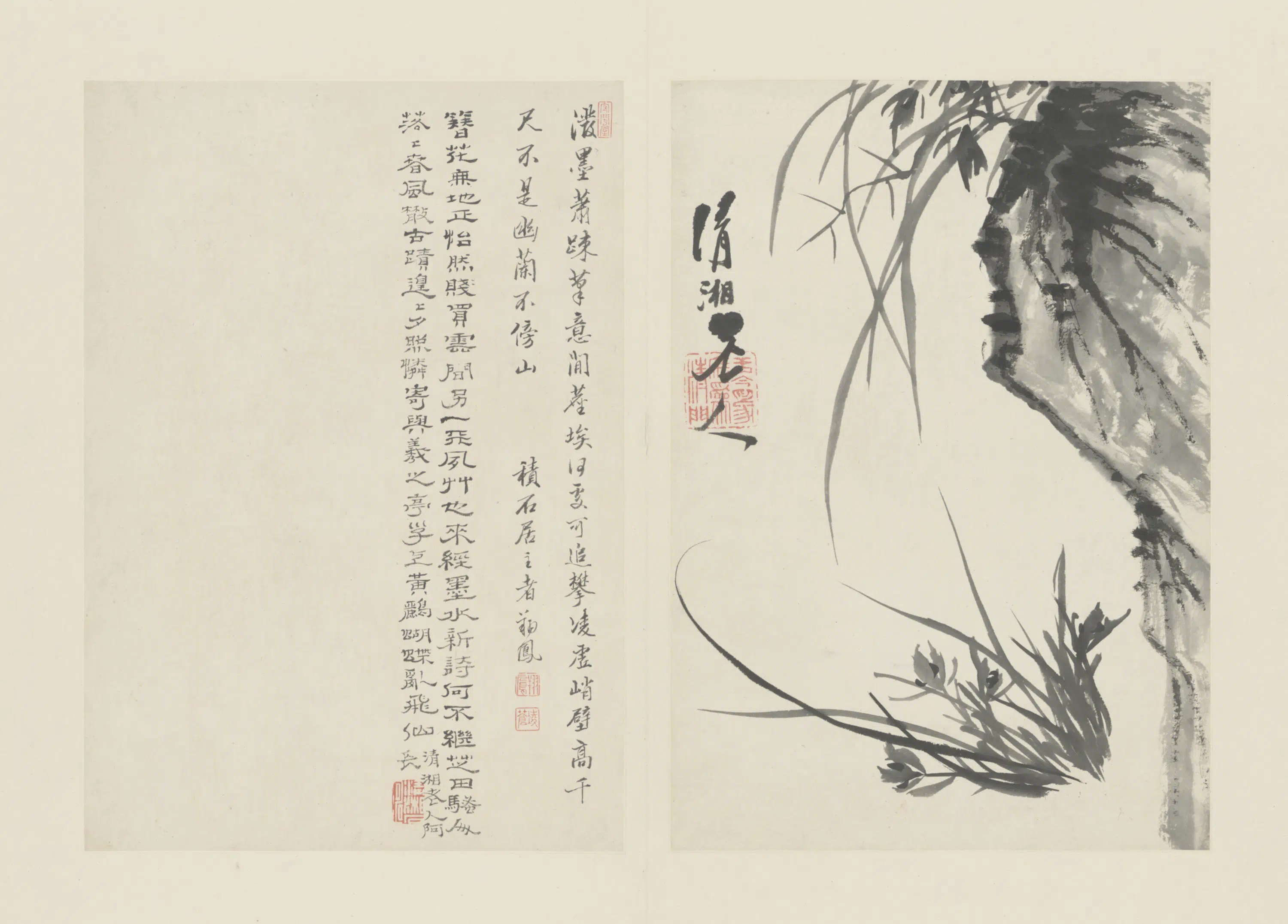 清代【原济】《兰竹册－兰石-1》