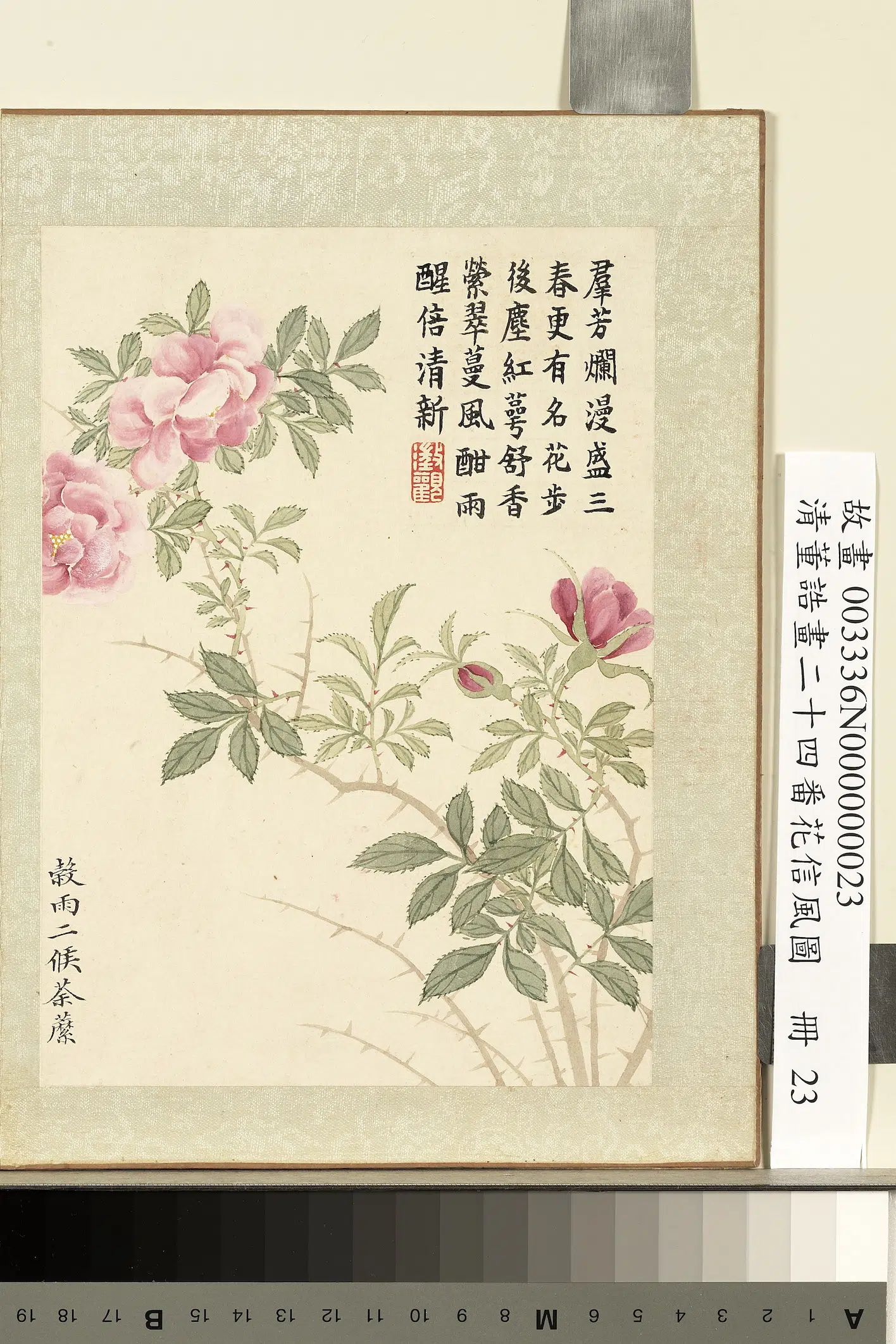 清代【董诰】《画二十四番花信风图册-谷雨二候荼蘪》 第1张 清代【董诰】《画二十四番花信风图册-谷雨二候荼蘪》 第1张