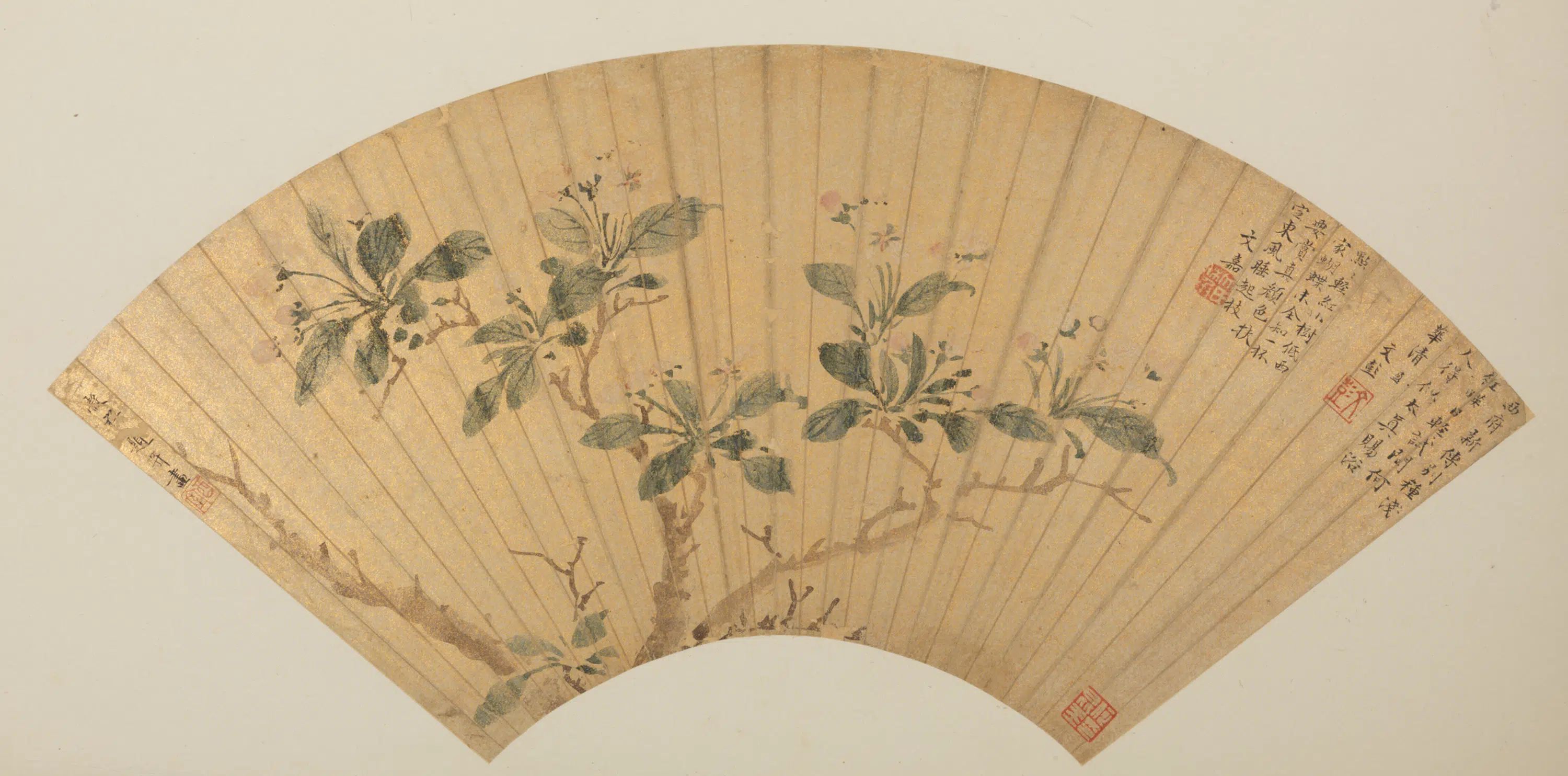 明朝【王榖祥】《王穀祥海棠扇页》