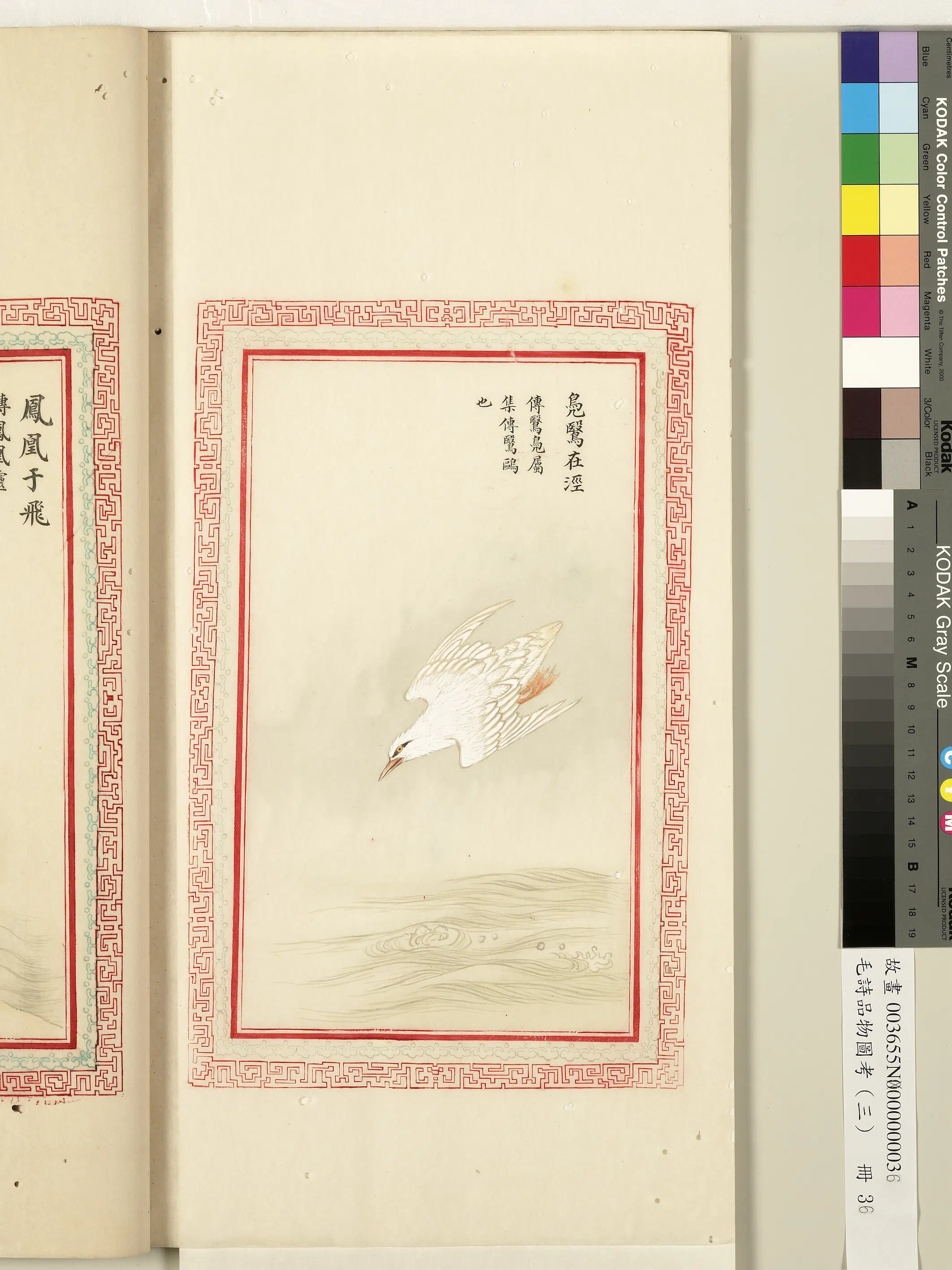 清代《毛诗品物图考(三)册-1》 第6张 清代《毛诗品物图考(三)册-1》 第6张